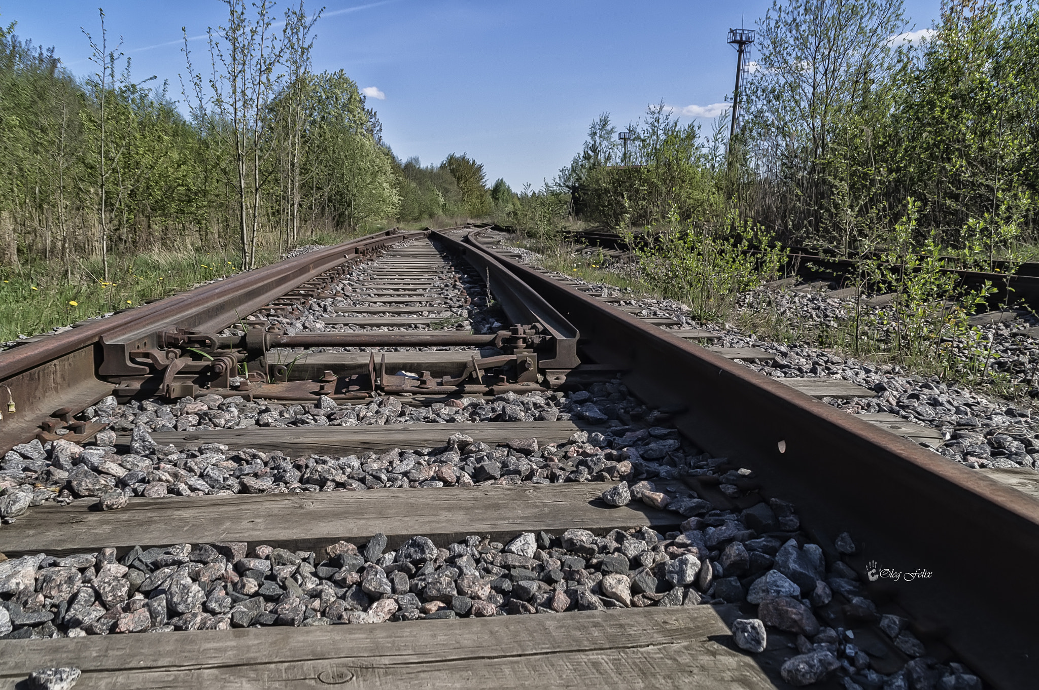 Sony SLT-A37 sample photo. Then paths diverge. photography