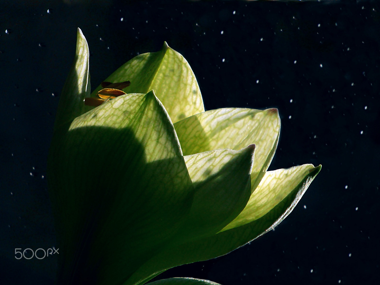 Olympus VR325,VR320,D725 sample photo. The taste of moon photography