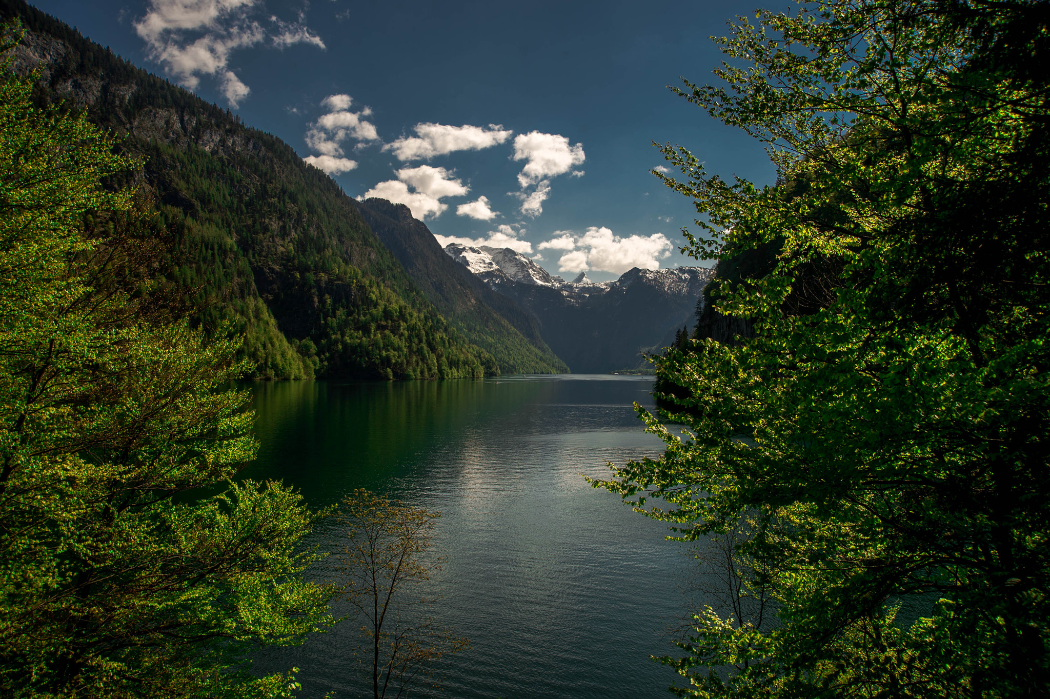 Nikon D4 + AF Zoom-Nikkor 24-120mm f/3.5-5.6D IF sample photo. Königssee photography