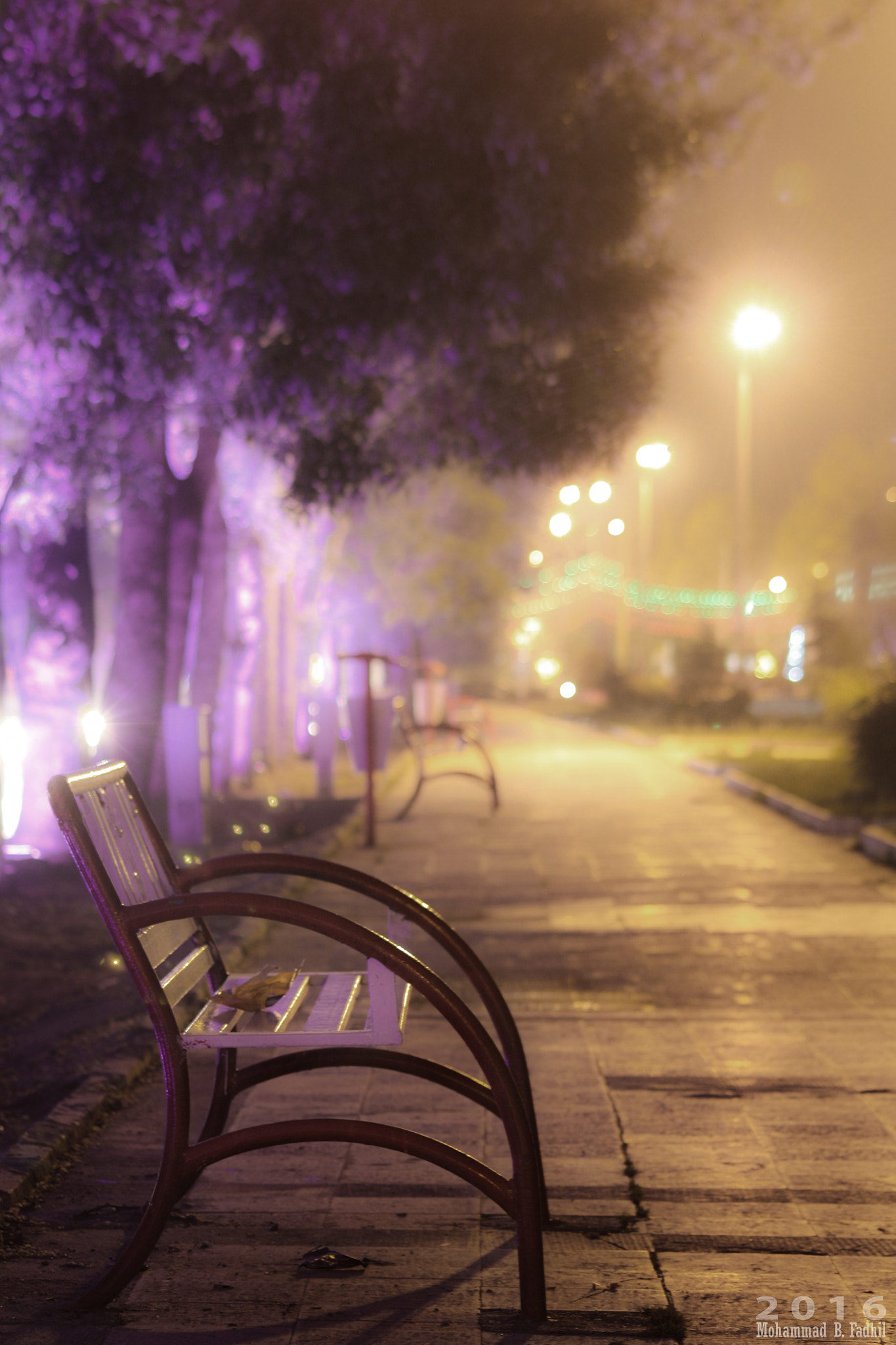 Canon EOS 450D (EOS Rebel XSi / EOS Kiss X2) sample photo. Chair at the boulevard.jpg photography
