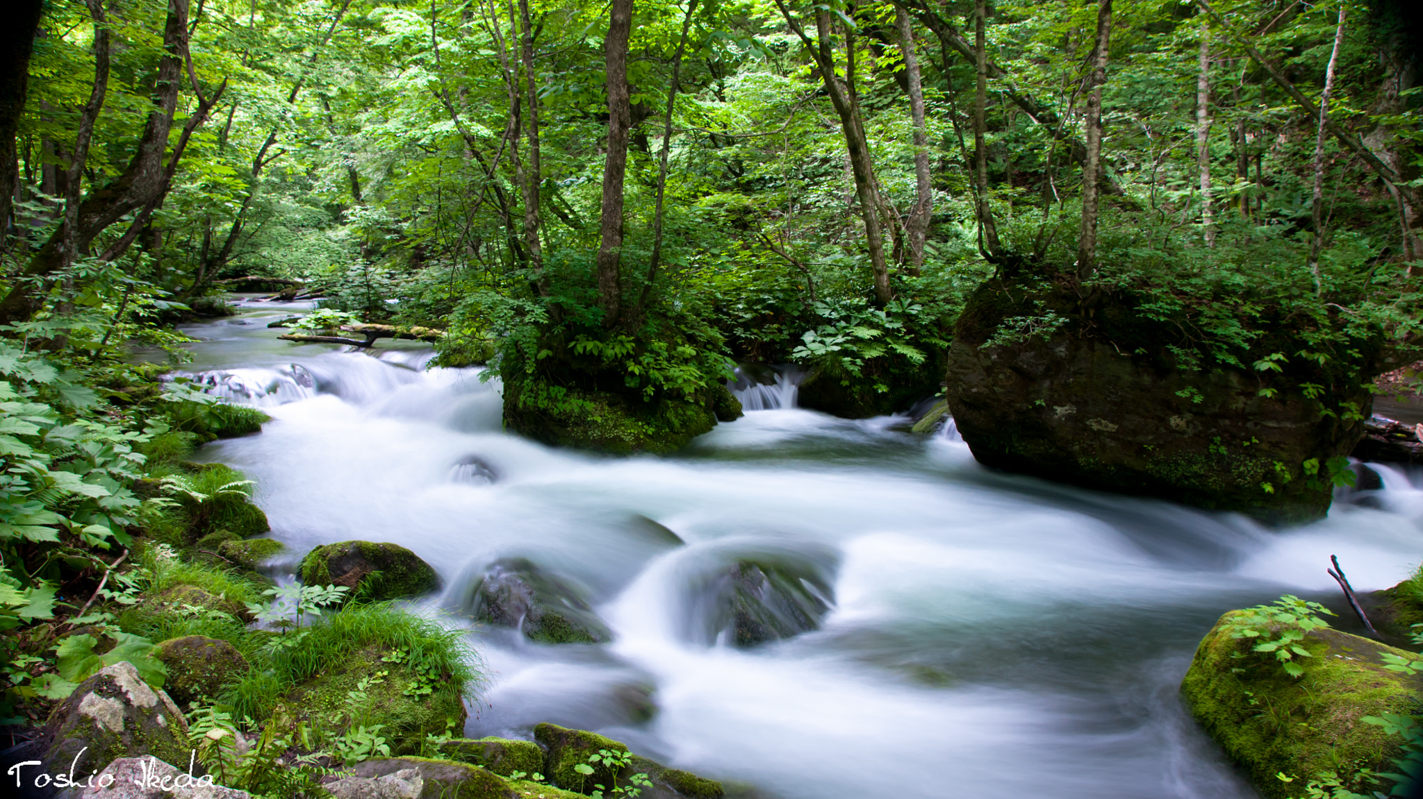 Sony Alpha DSLR-A700 sample photo. Mountain stream  奥入瀬 photography