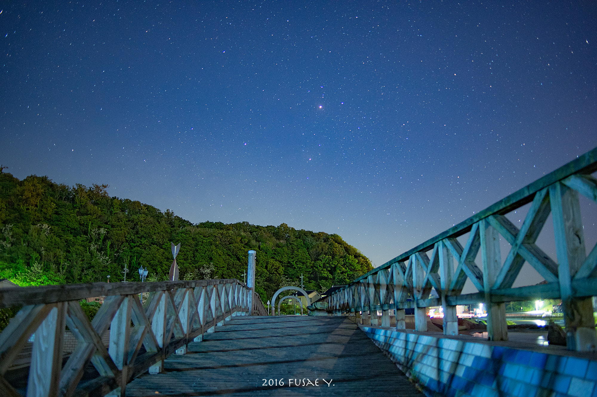 Nikon Df sample photo. Starry walk photography