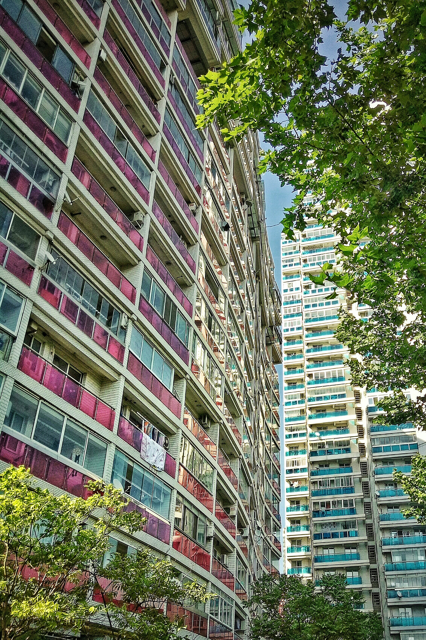 OPPO R7 Plus sample photo