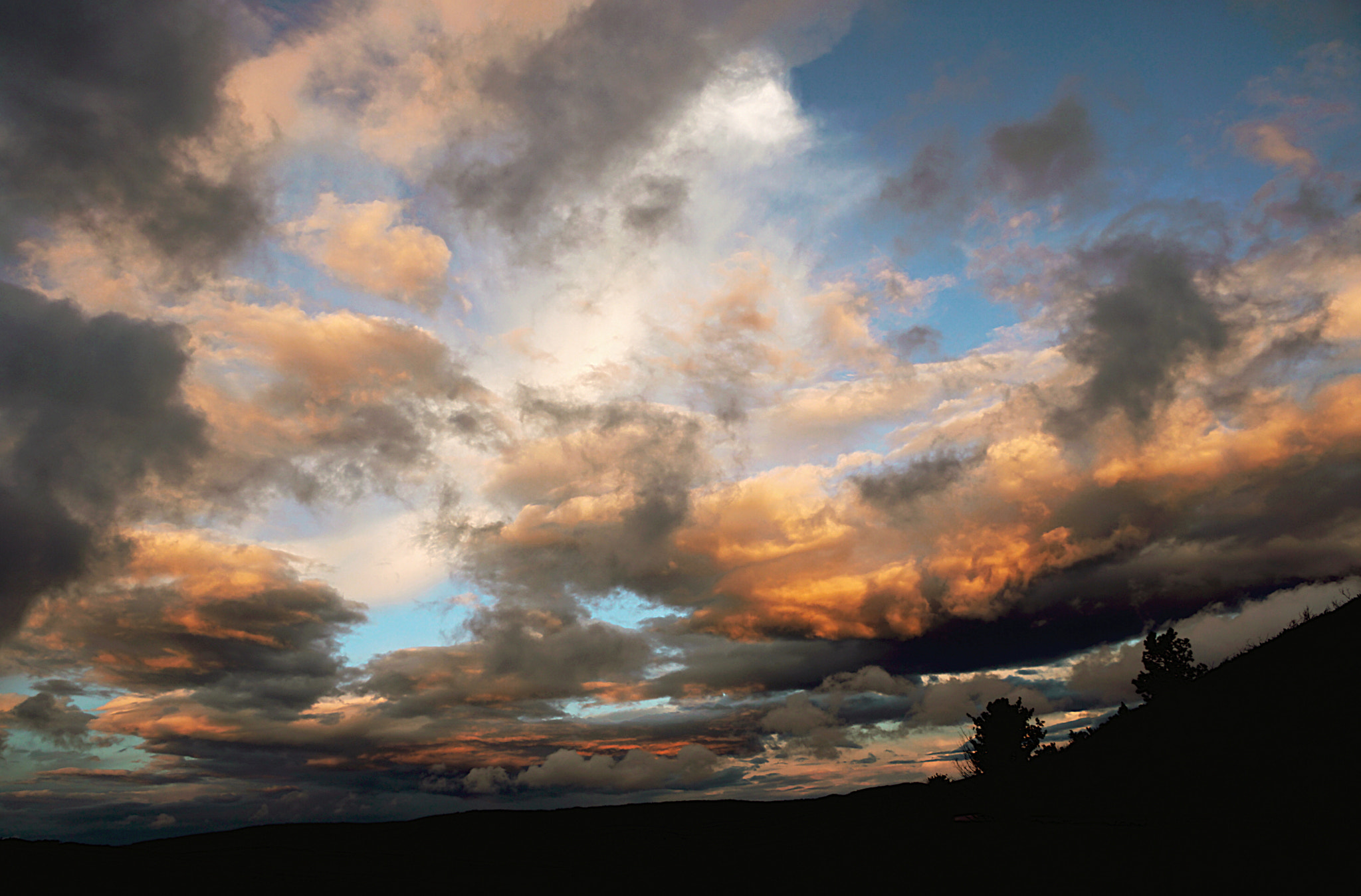 Sony DT 16-105mm F3.5-5.6 sample photo. The night has come! photography
