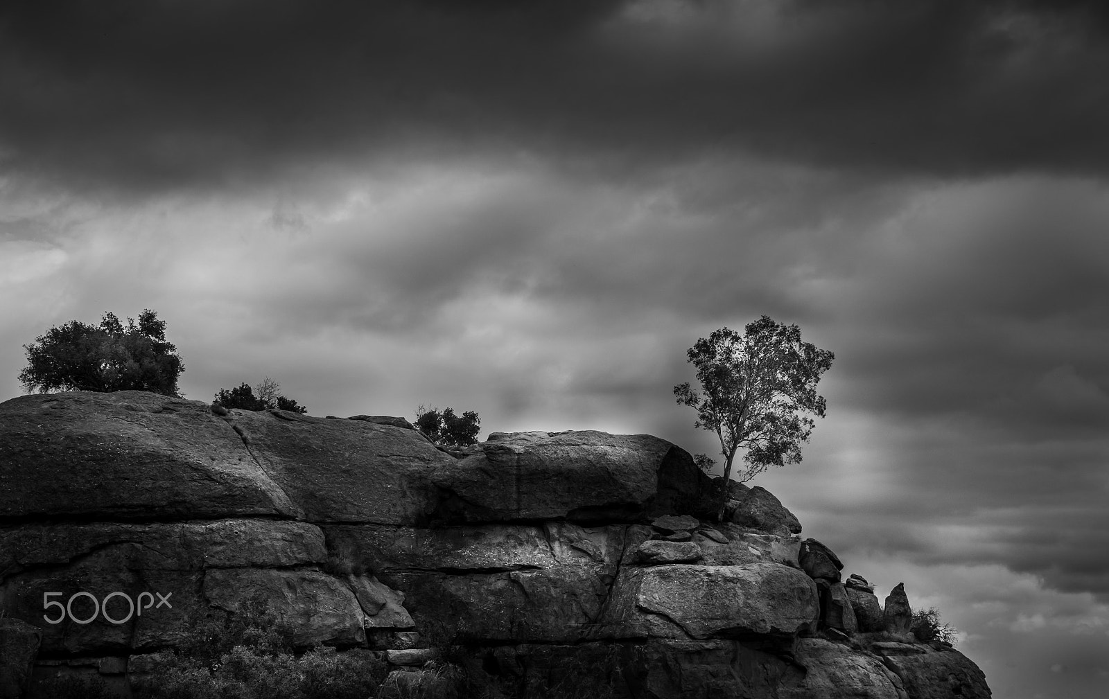 Sony DT 18-250mm F3.5-6.3 sample photo. Wall of nyoka photography