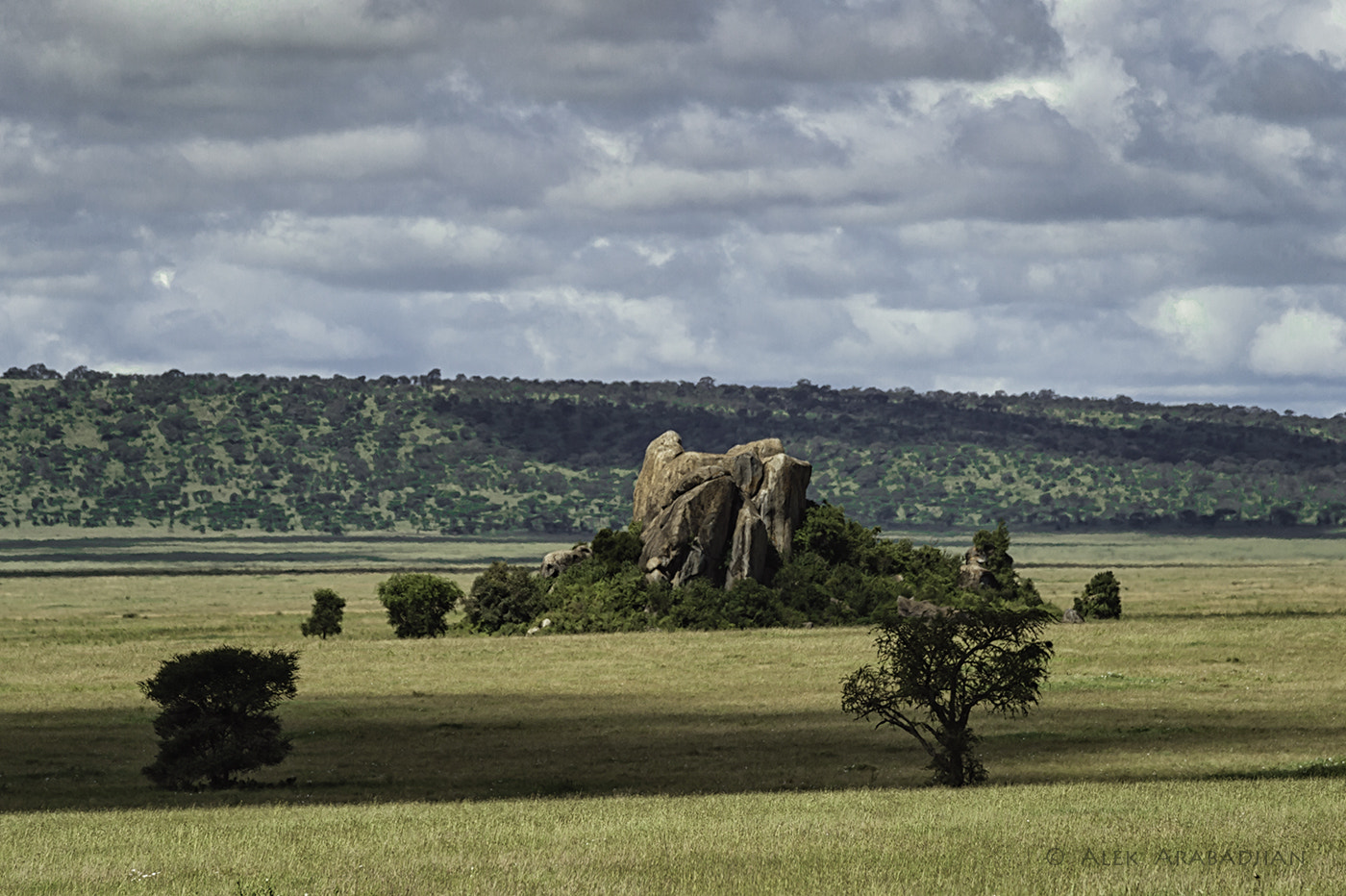Nikon D4S sample photo. Half billion years old photography