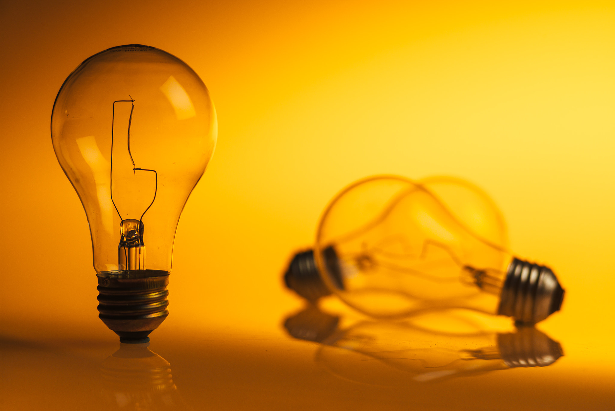 Elmarit-M 1:2.8/90 sample photo. Bulbs photography