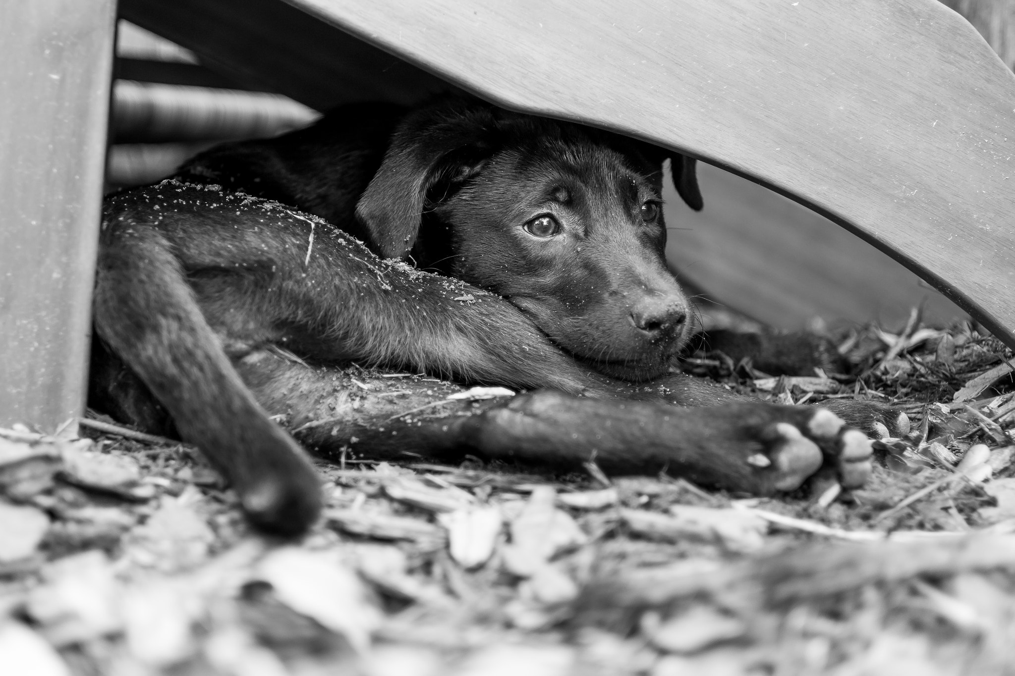 E 32mm F1.8 sample photo. I'm not doing anything under here photography