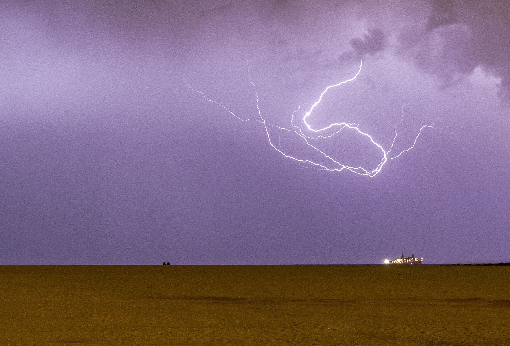 Sigma 30mm F1.4 EX DC HSM sample photo. Purple rain photography