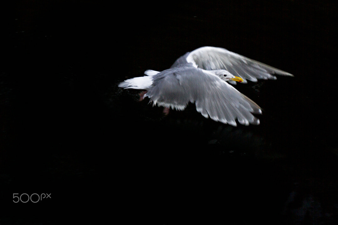 Canon EOS 7D + Canon EF 16-35mm F2.8L USM sample photo. Night flight photography