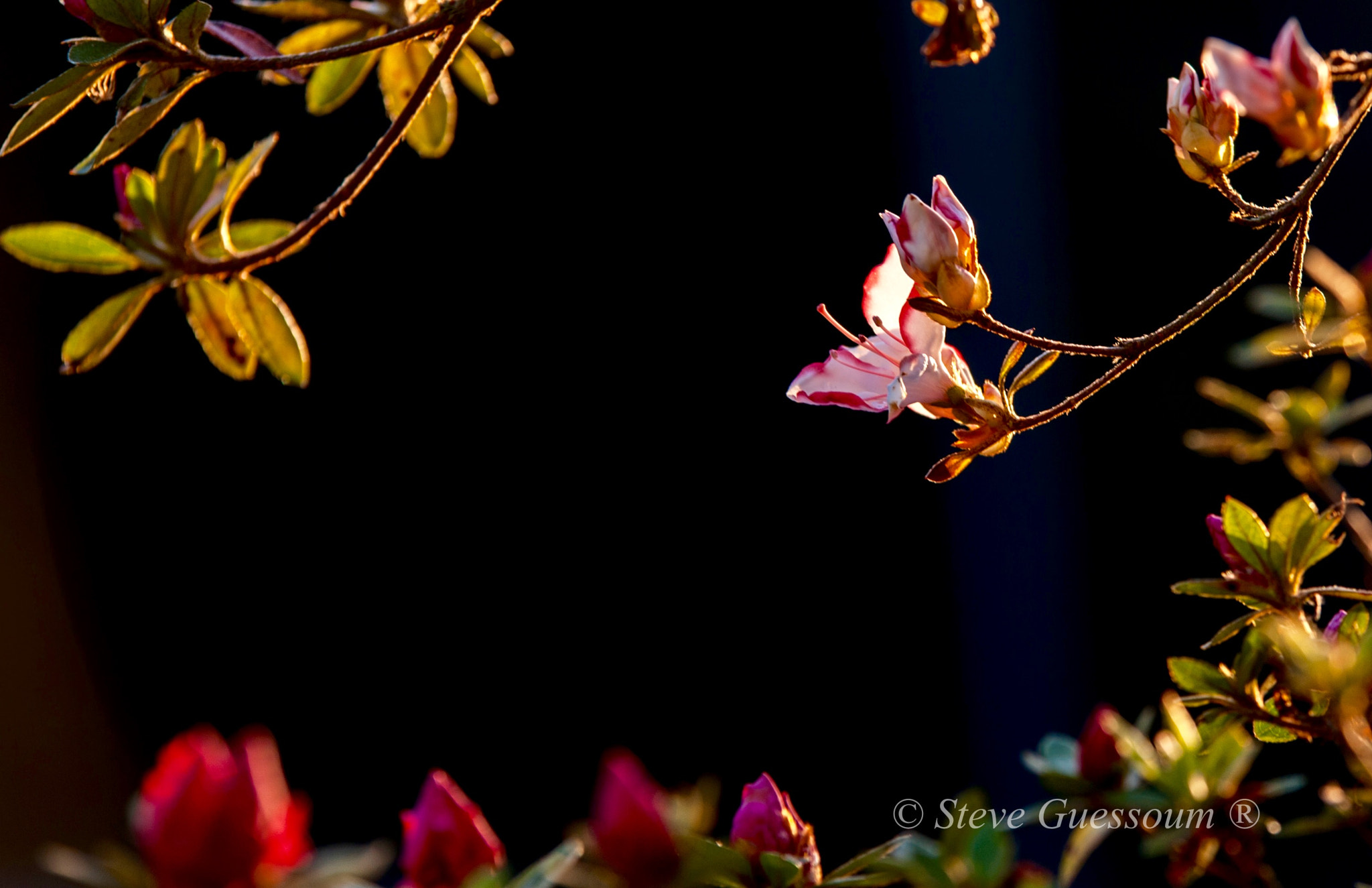 Sigma 70-200mm F2.8 EX DG OS HSM sample photo