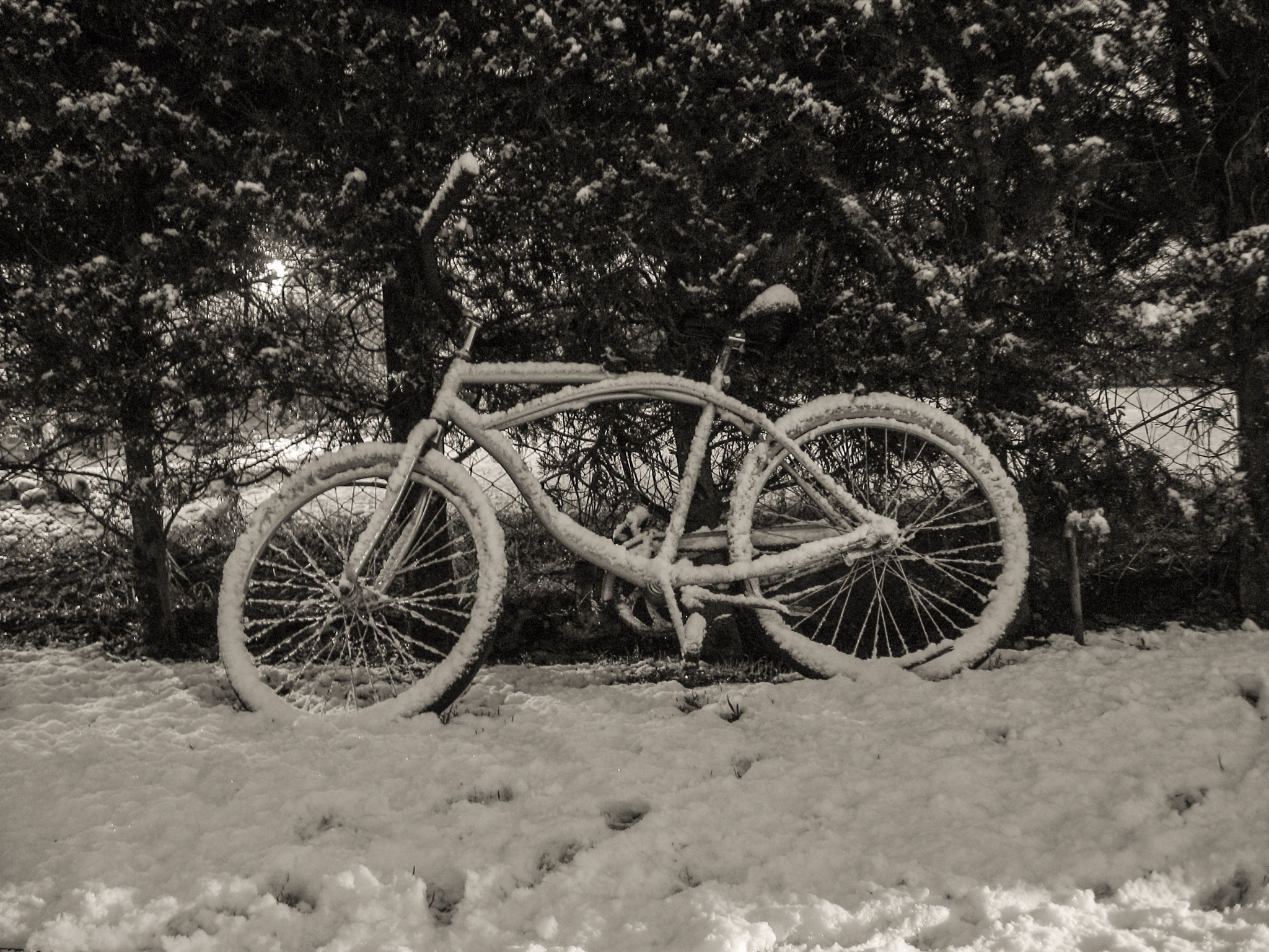 Canon POWERSHOT A540 sample photo. Bicicleta photography