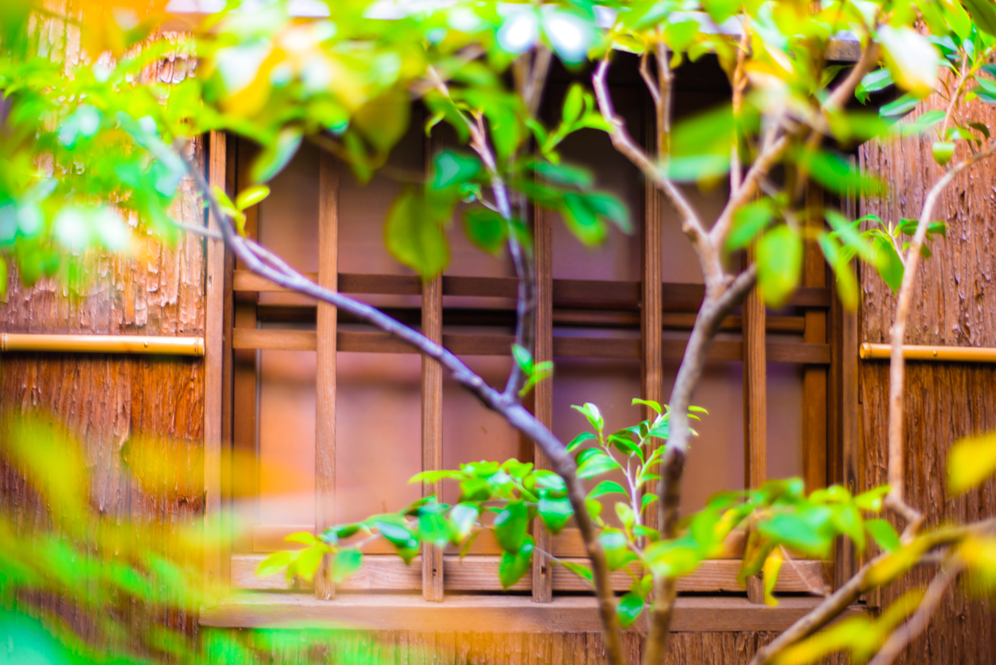 ZEISS Planar T* 50mm F1.4 sample photo. A old house. photography