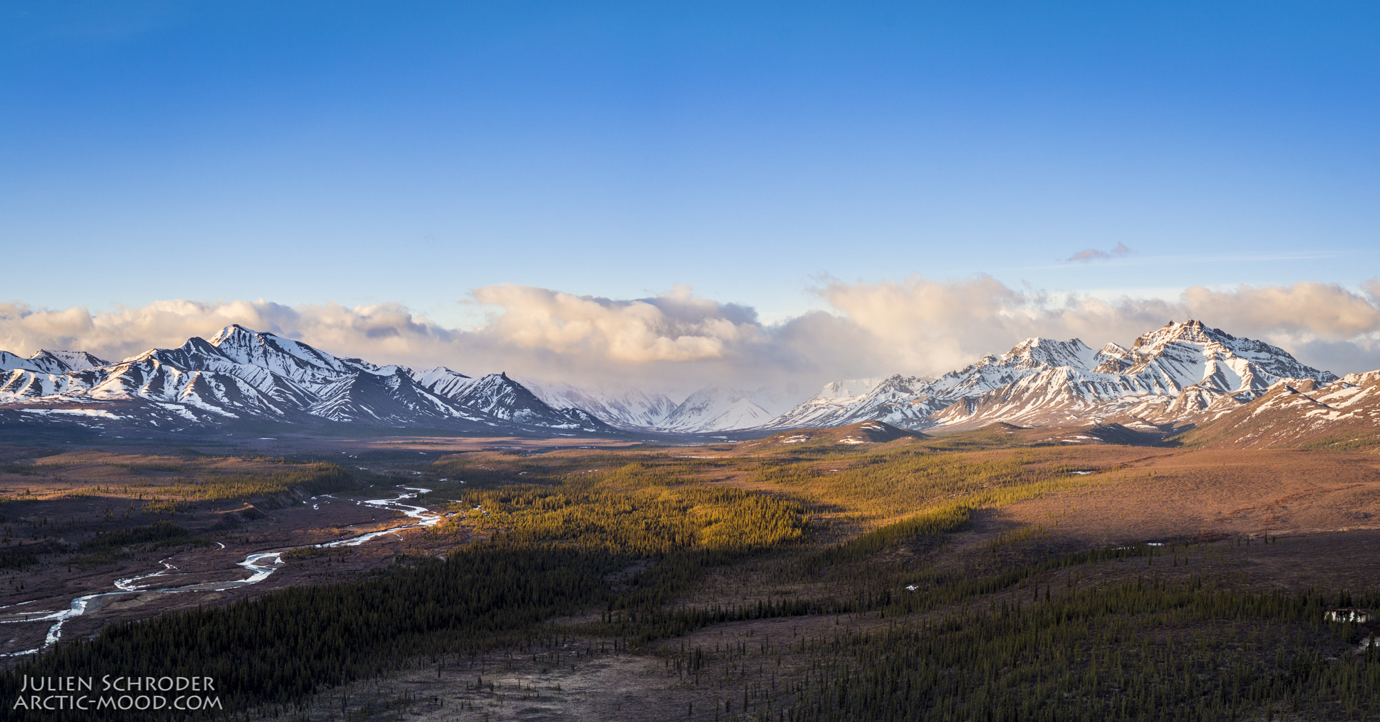 Canon EOS 6D + ZEISS Milvus 50mm F1.4 sample photo. Spring colours in denali national park - alaska photography