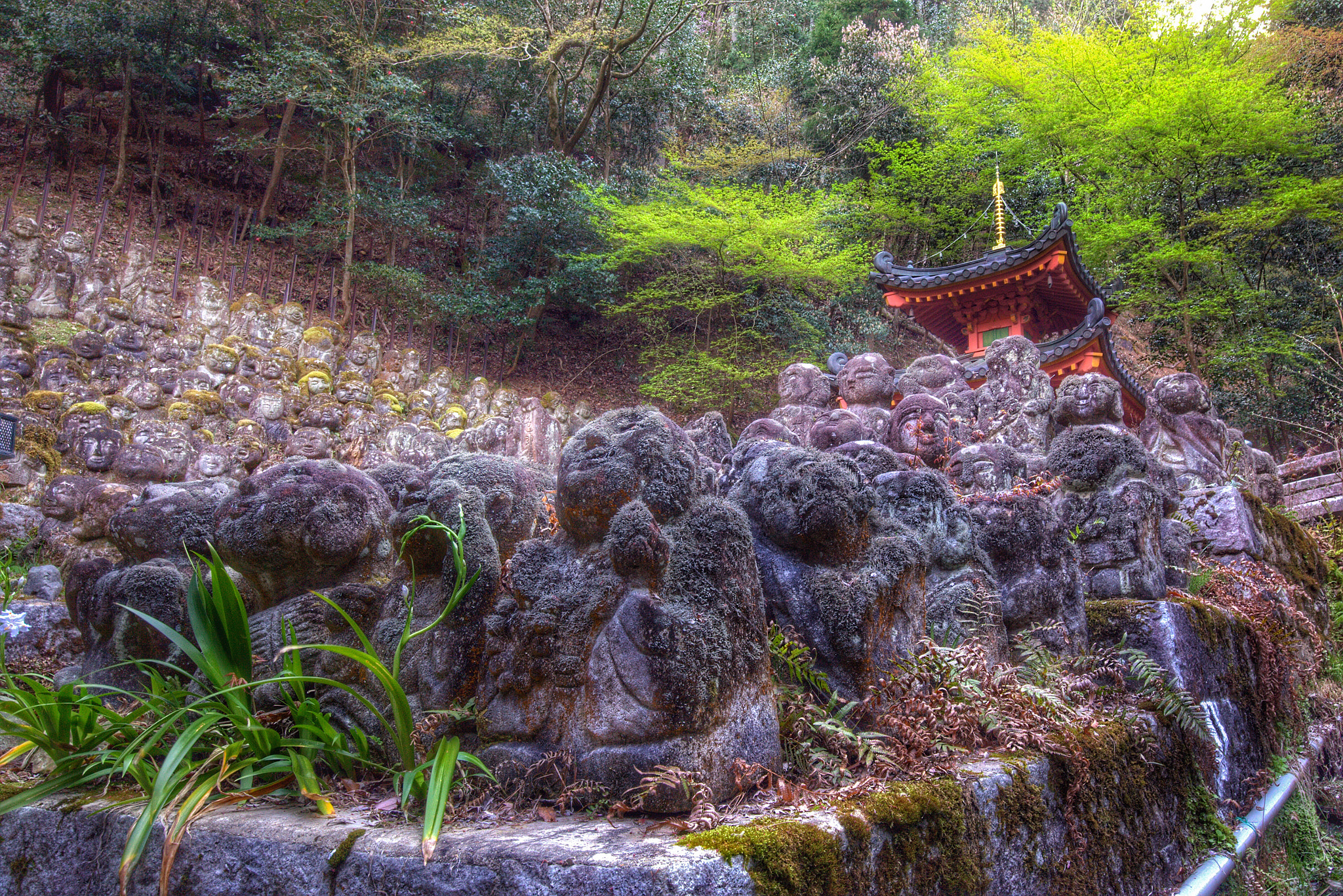 Canon EF 16-35mm F4L IS USM sample photo. Otagi nenbutsu-ji (愛宕念仏寺) photography
