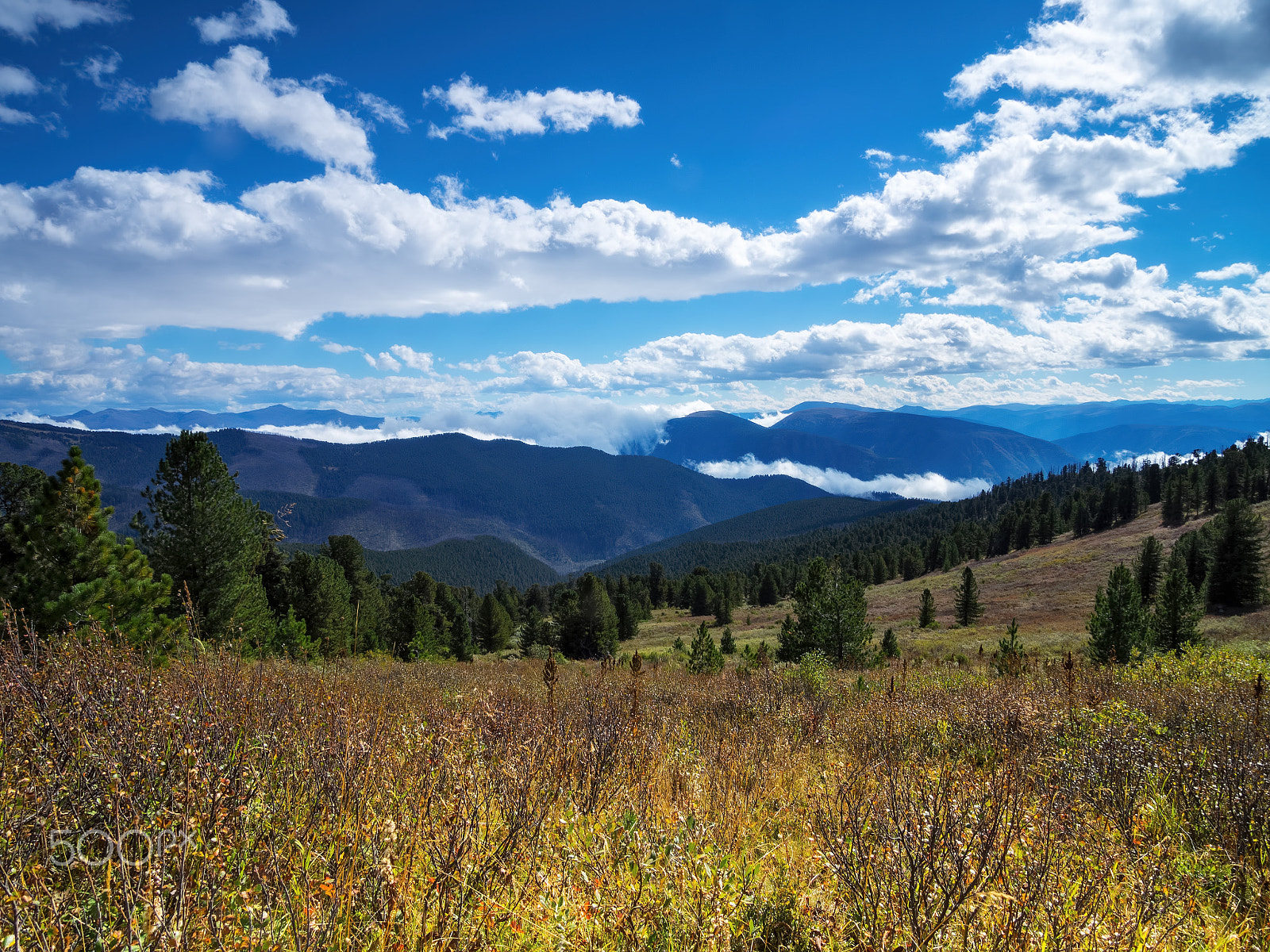 Olympus OM-D E-M1 + OLYMPUS 11-22mm Lens sample photo. Sunny day in the mountains photography