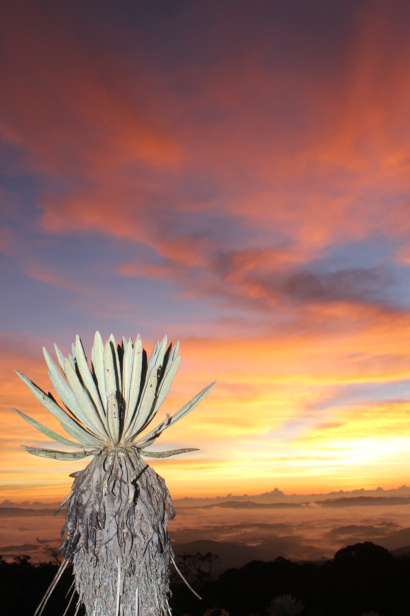 Canon EF 22-55mm f/4-5.6 USM sample photo. Paramo de belmira-antioquia.colombia photography