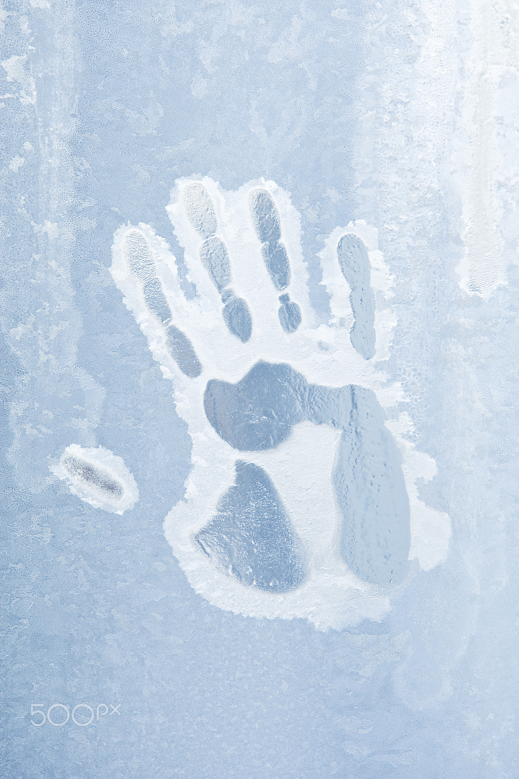 Canon EOS-1D Mark III sample photo. Handprint on ice photography