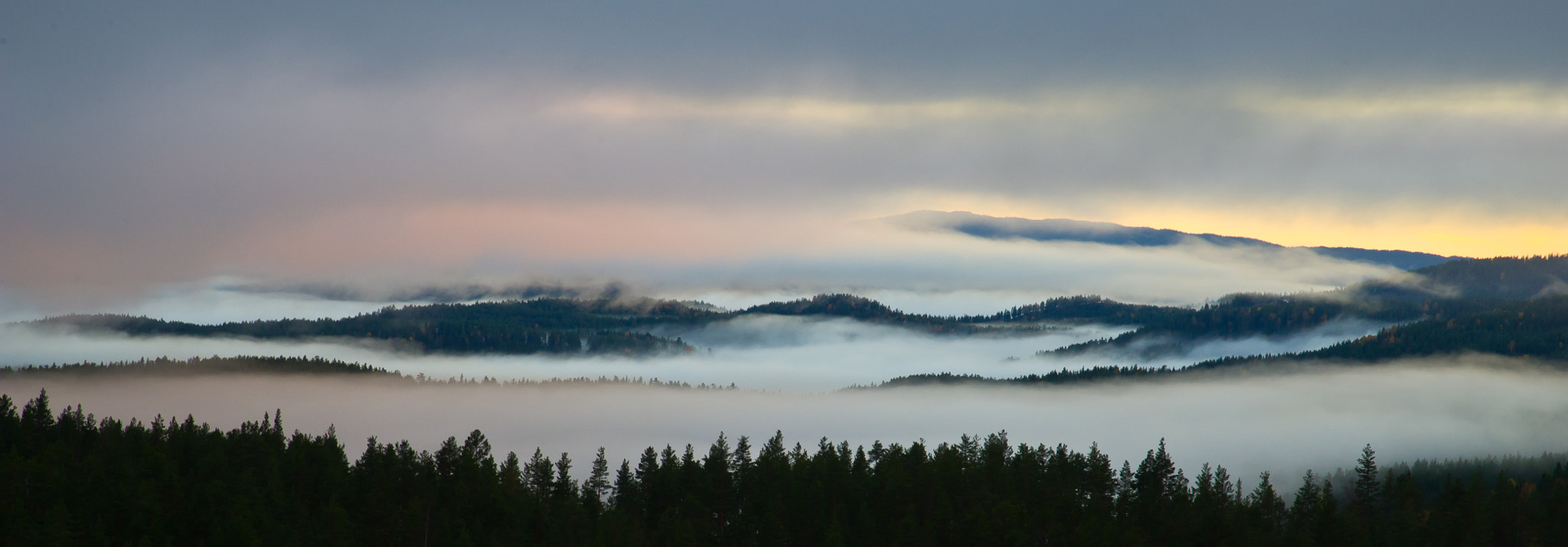 Nikon D3S sample photo. What is hidden under the fog? photography