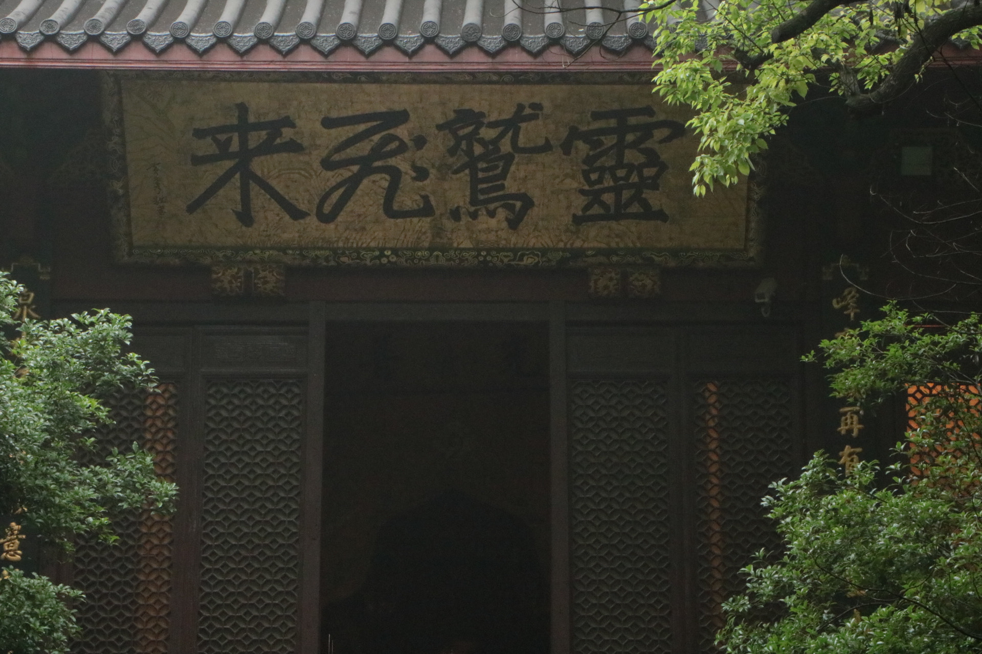 Canon EF-S 18-135mm F3.5-5.6 IS STM sample photo. 靈鷲飛來 photography