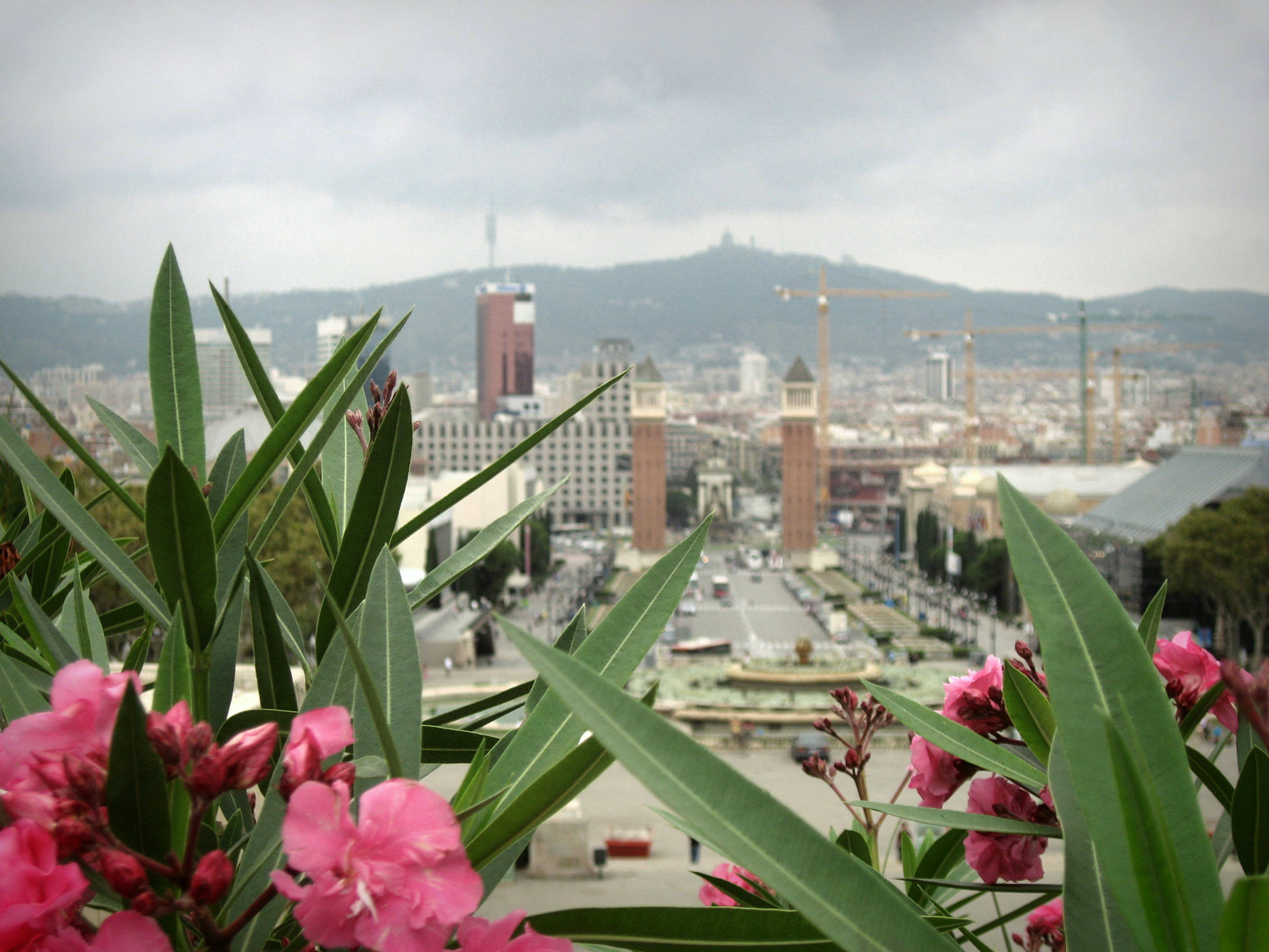 Canon DIGITAL IXUS 800 IS sample photo. Cloudy day in barcelona photography