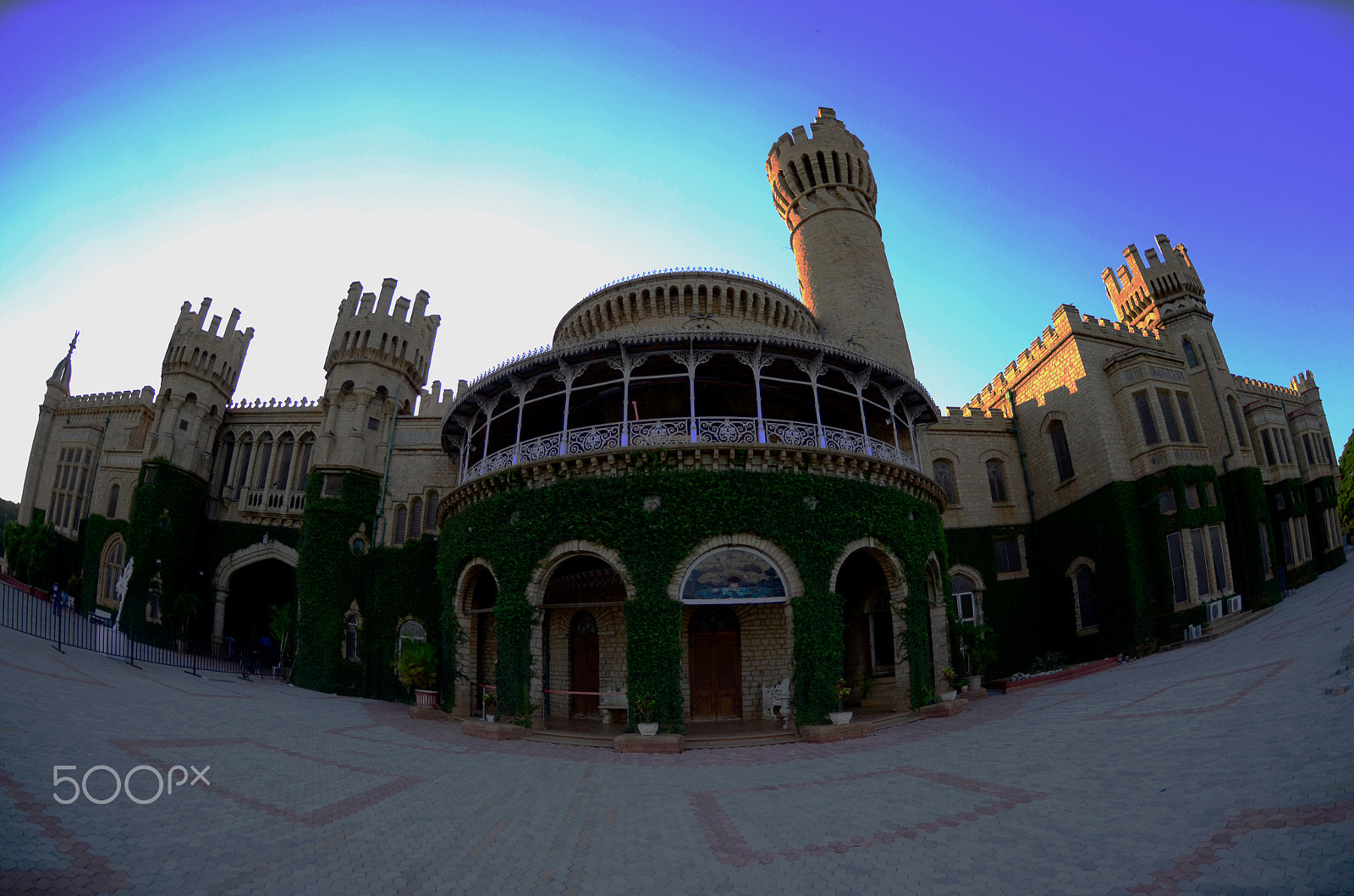 Nikon AF DX Fisheye-Nikkor 10.5mm F2.8G ED sample photo. An eye with fish-eye photography