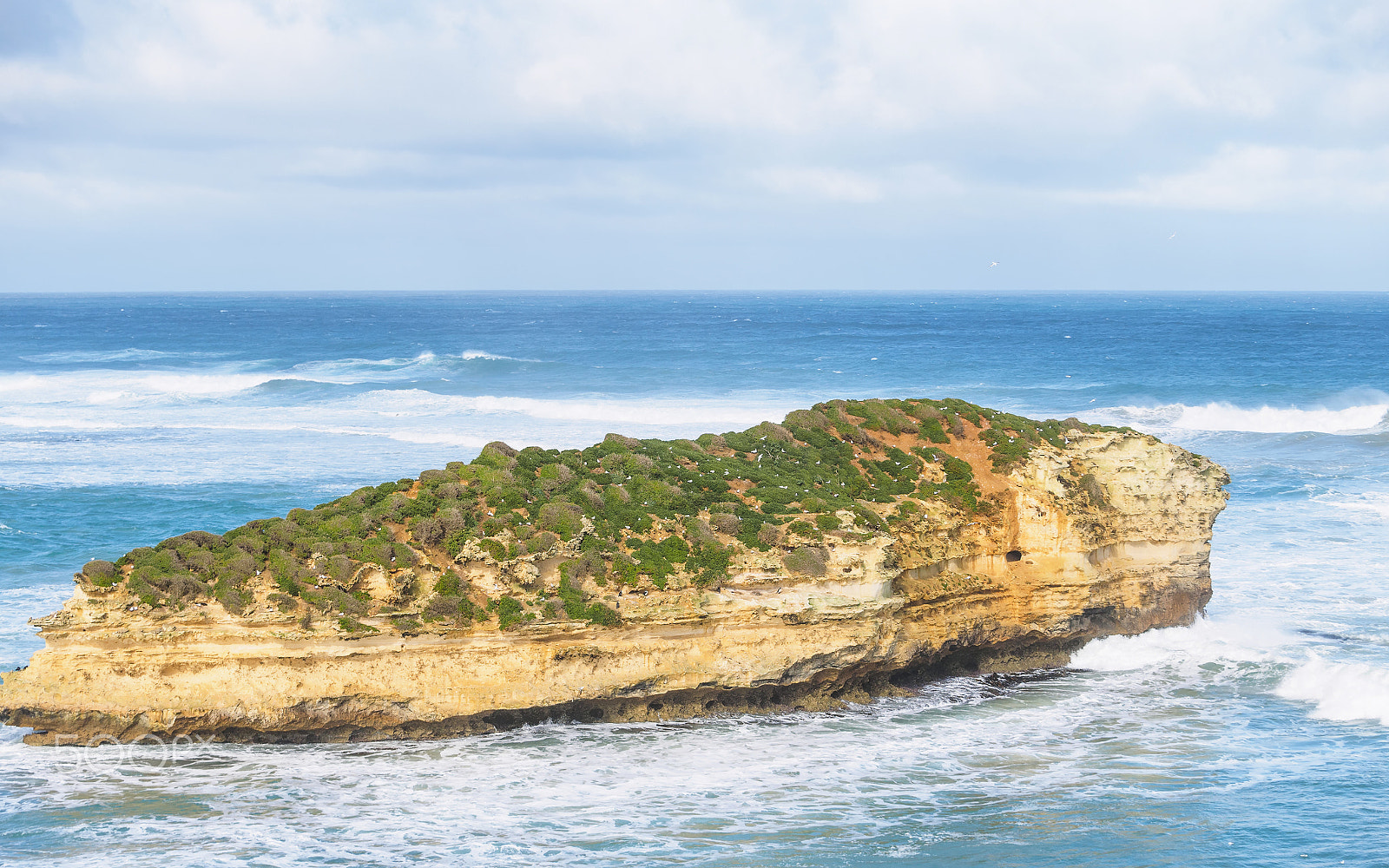 Panasonic Lumix G X Vario 35-100mm F2.8 OIS sample photo. Bay of islands coastal park photography