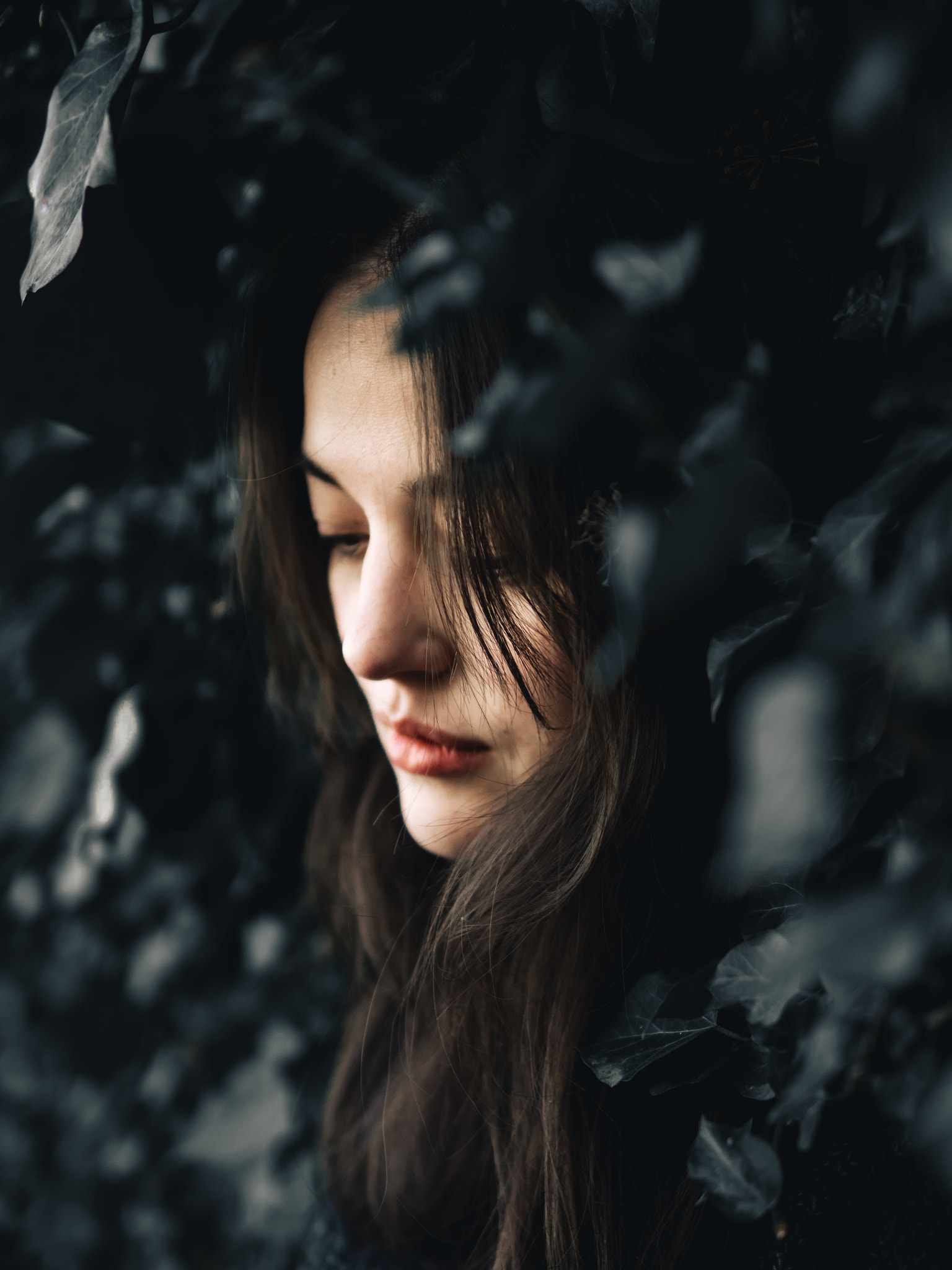 Olympus OM-D E-M1 + Sigma 30mm F1.4 DC DN | C sample photo. Ellinor photography