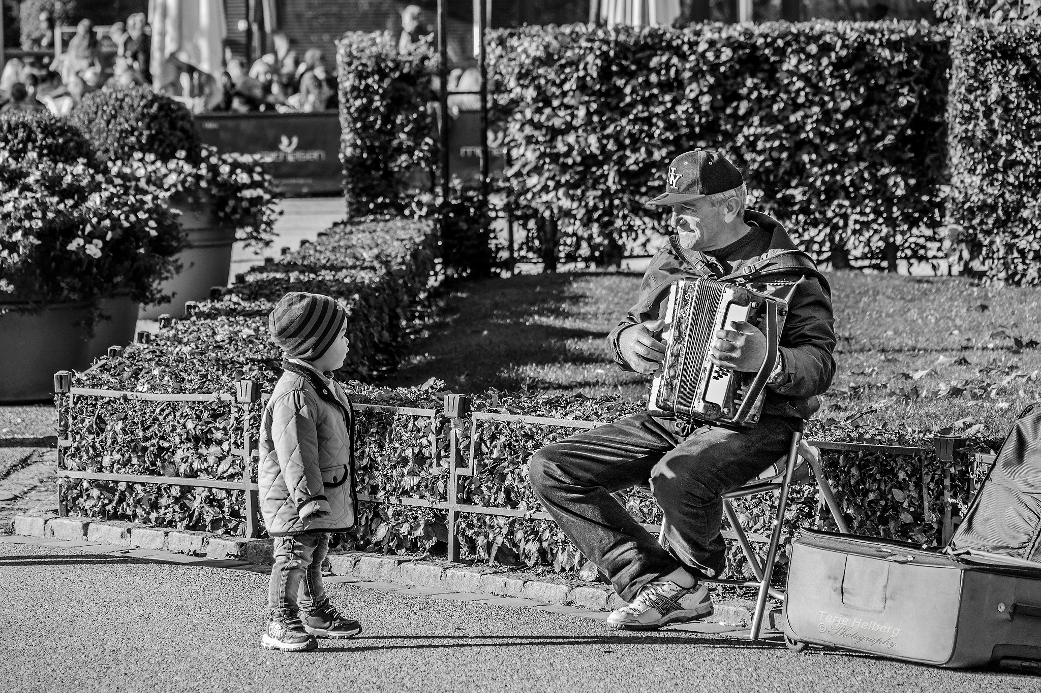 Samsung NX1000 + Samsung NX 50-200mm F4-5.6 ED OIS sample photo. My biggest little fan photography
