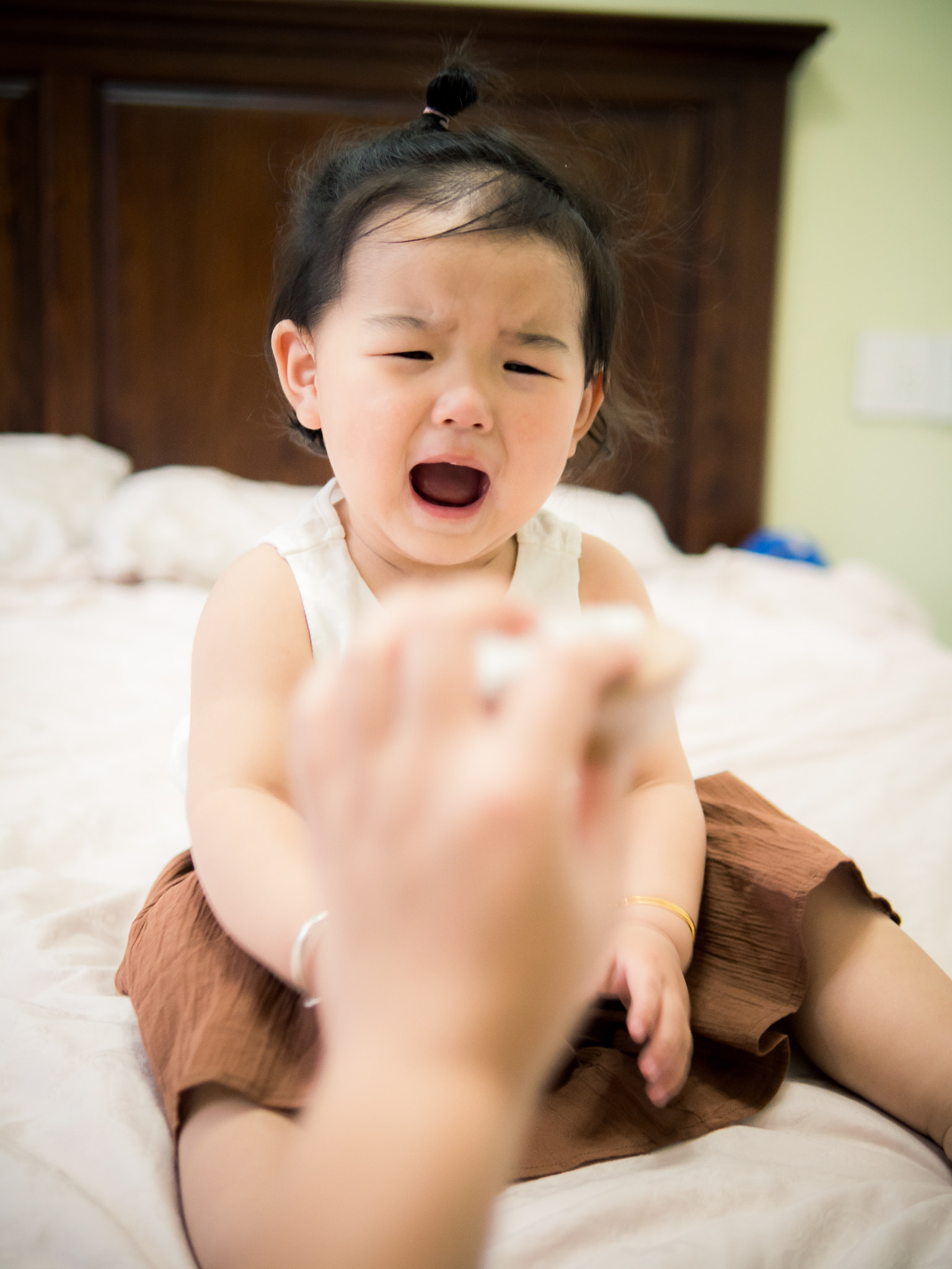 Panasonic Lumix DMC-GX8 + Panasonic Leica DG Summilux 25mm F1.4 II ASPH sample photo. I may cry photography