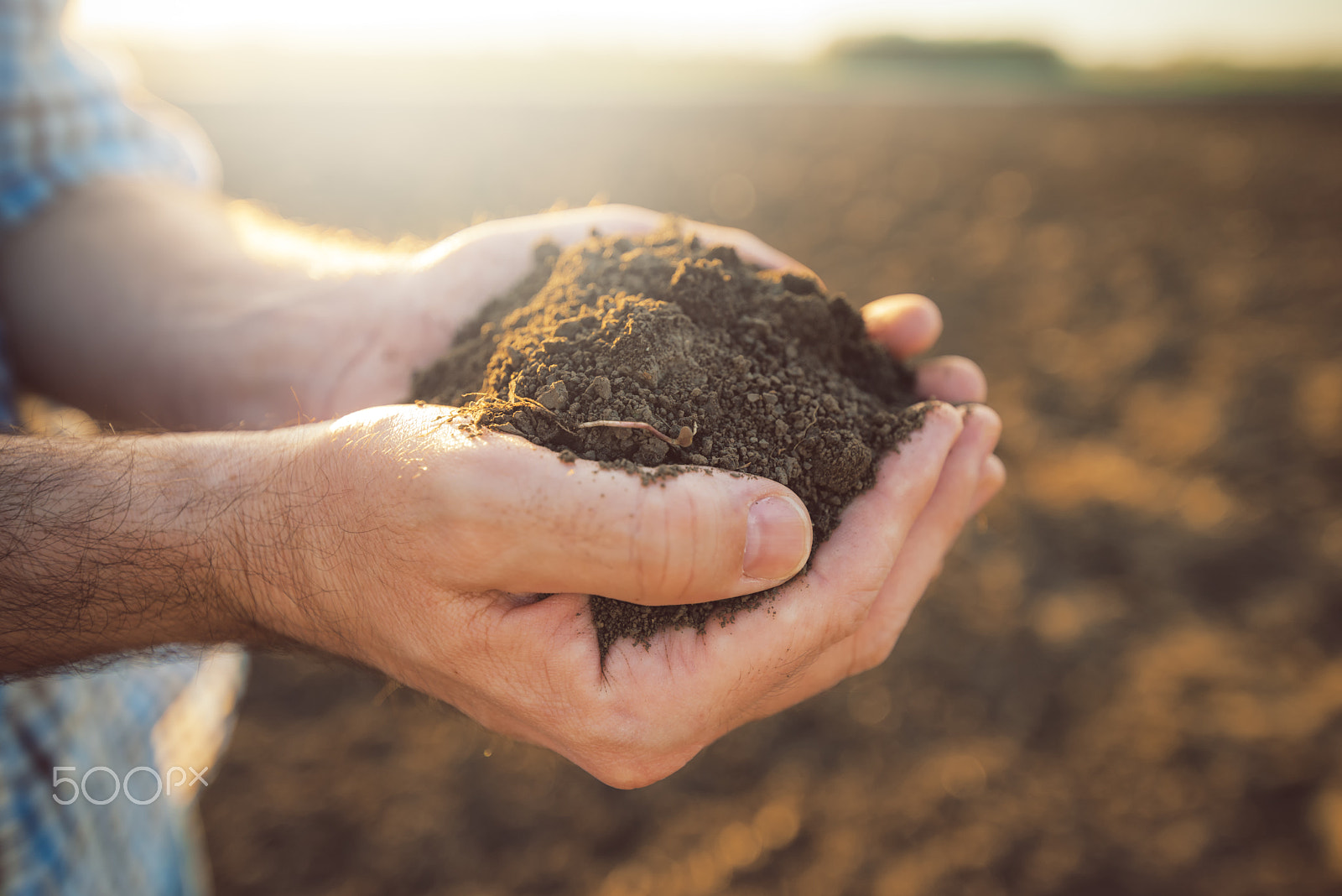 Tamron SP 15-30mm F2.8 Di VC USD sample photo. Handful of arable soil in hands of responsible farmer photography