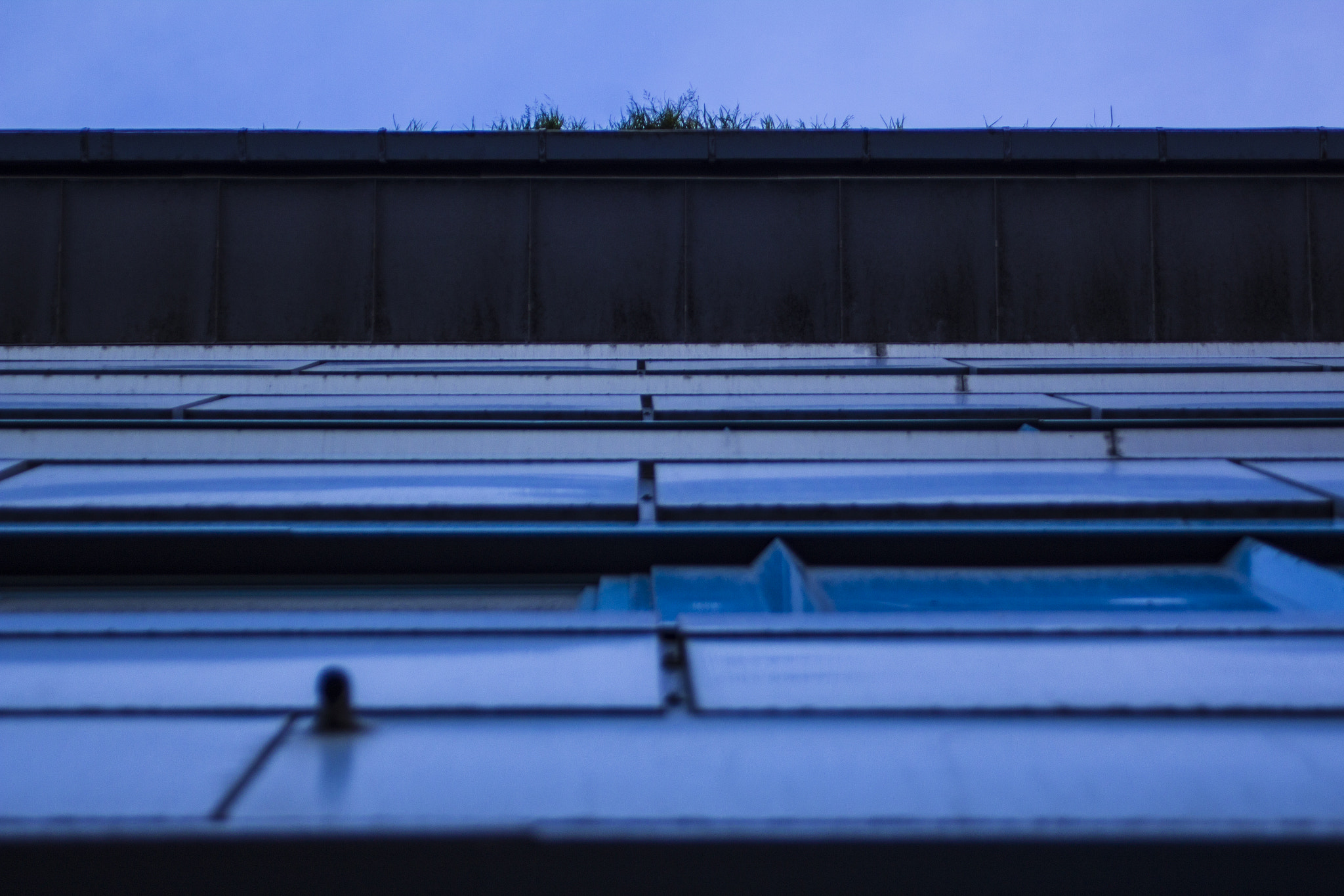 Canon EF 28-80mm f/3.5-5.6 sample photo. Grass roof photography