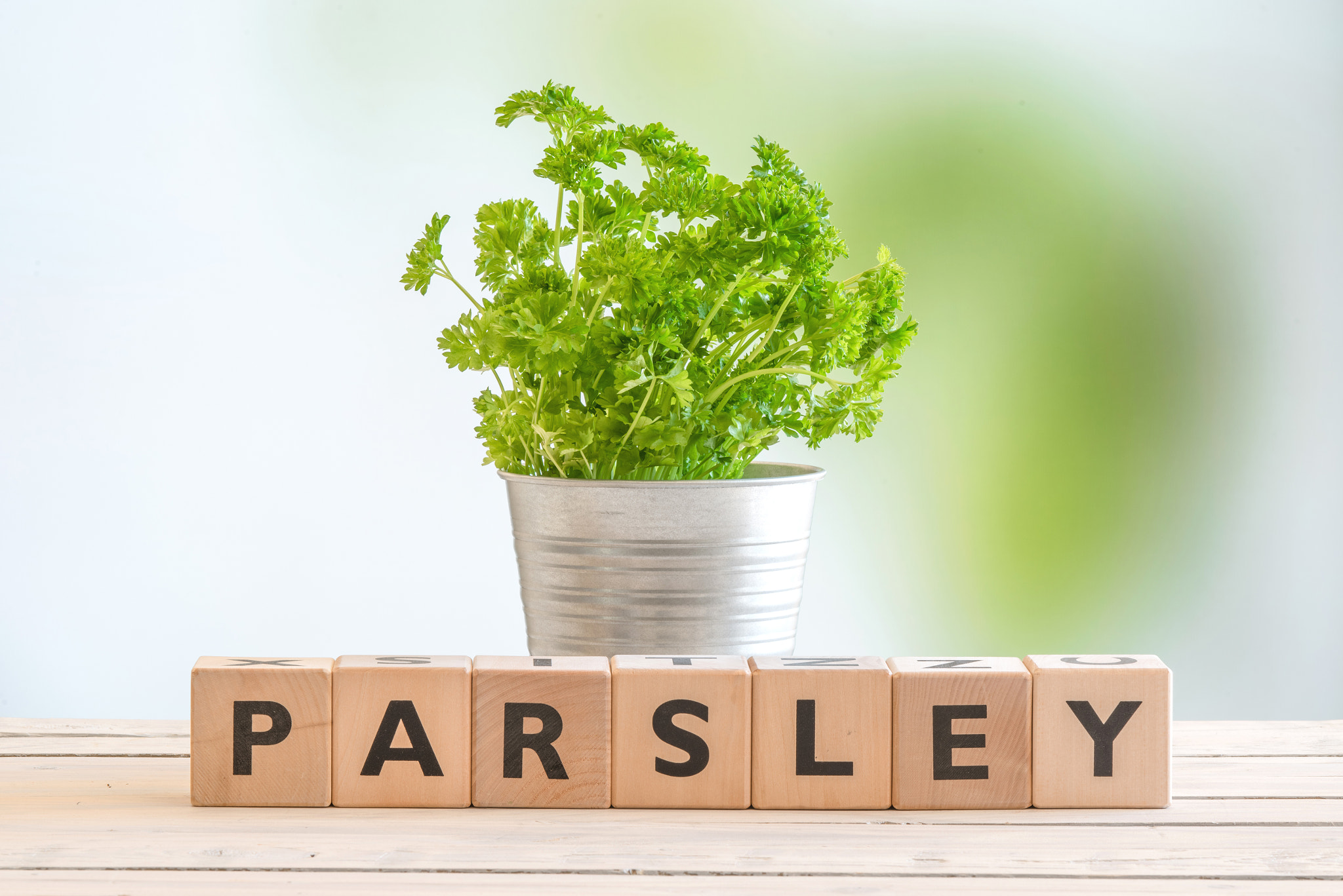 Sony a7R + Sony 70-400mm F4-5.6 G SSM II sample photo. Parsley sign on a table photography