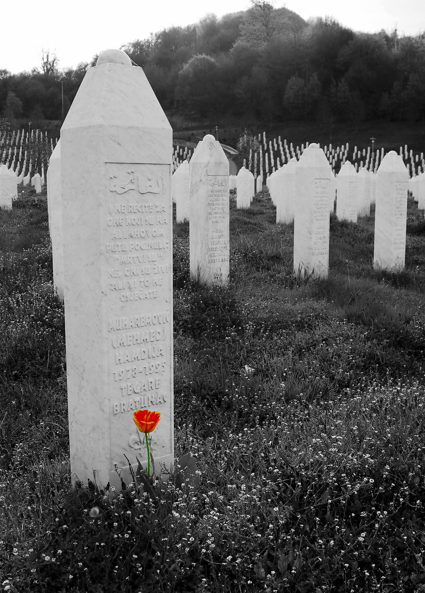 Nikon D200 sample photo. Srebrencia photography
