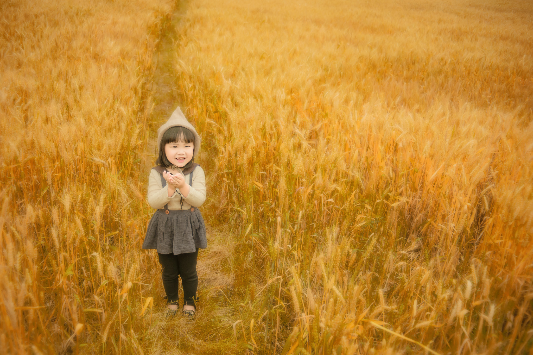 AF Zoom-Nikkor 35-70mm f/3.3-4.5 sample photo