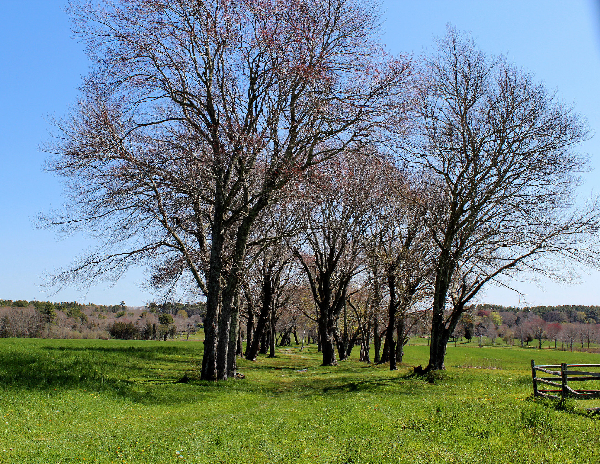 Canon EF-S 18-55mm F3.5-5.6 IS II sample photo. Spring time in chiltonville.... photography