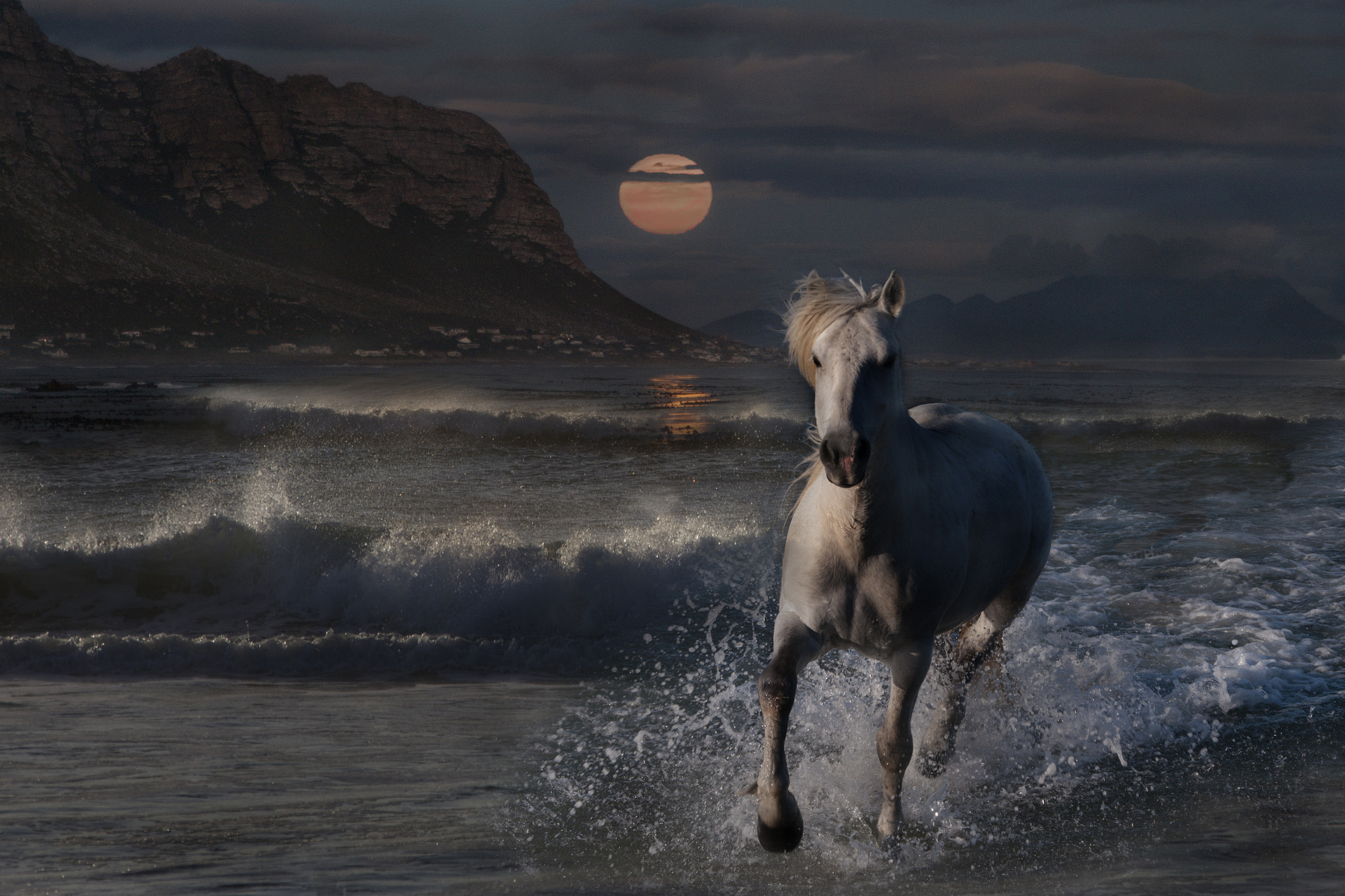 Pentax K-7 + Sigma sample photo. Horse in sea photography