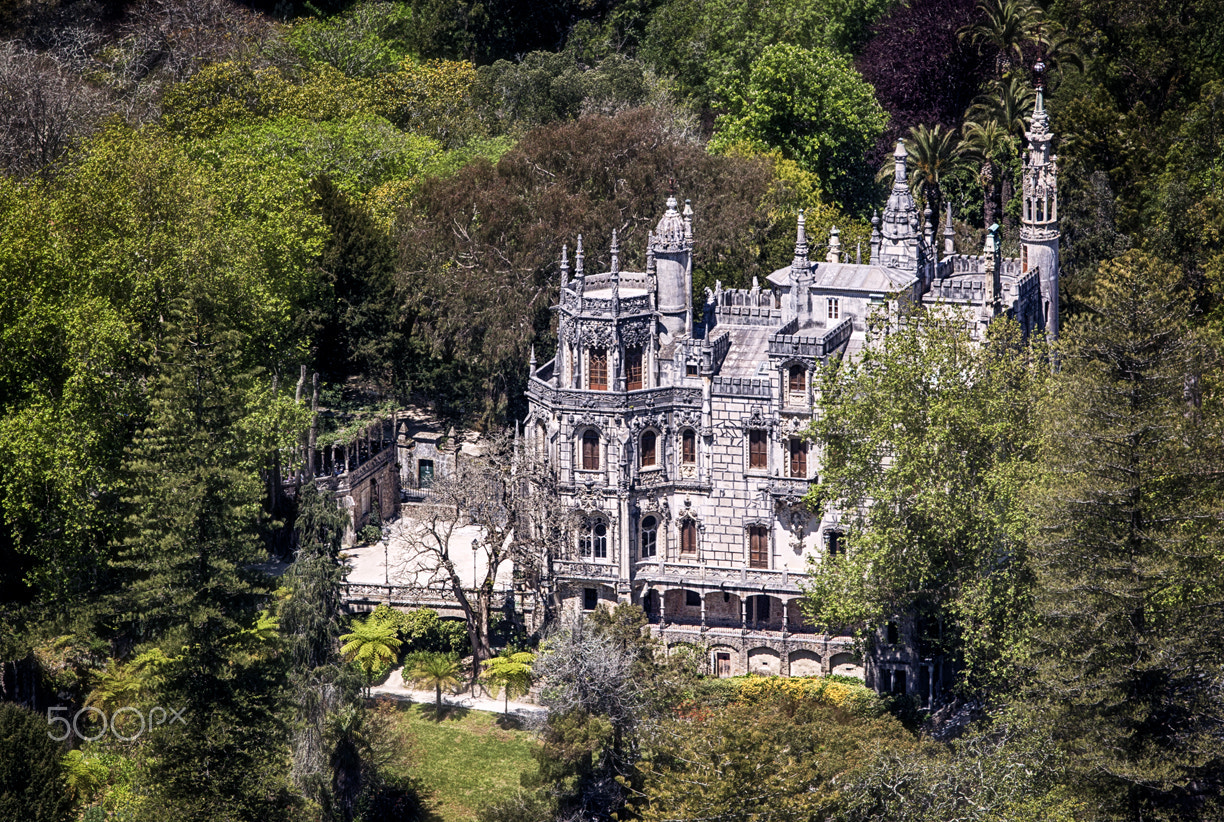 Canon EF 70-200mm F2.8L USM sample photo. Quinta da regaleira photography