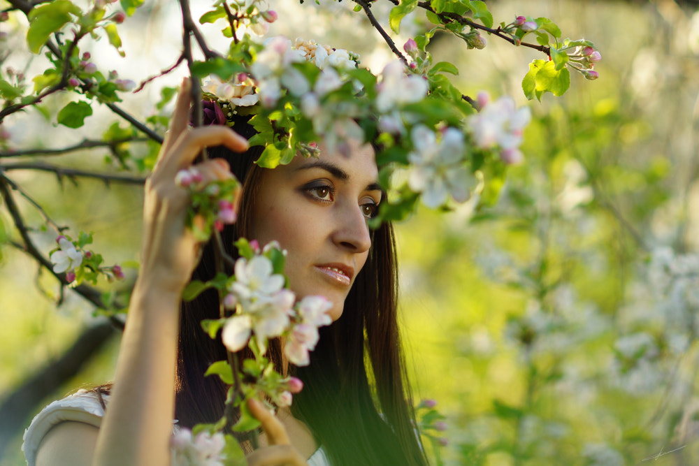 Sony Planar T* 85mm F1.4 ZA sample photo. В садах photography