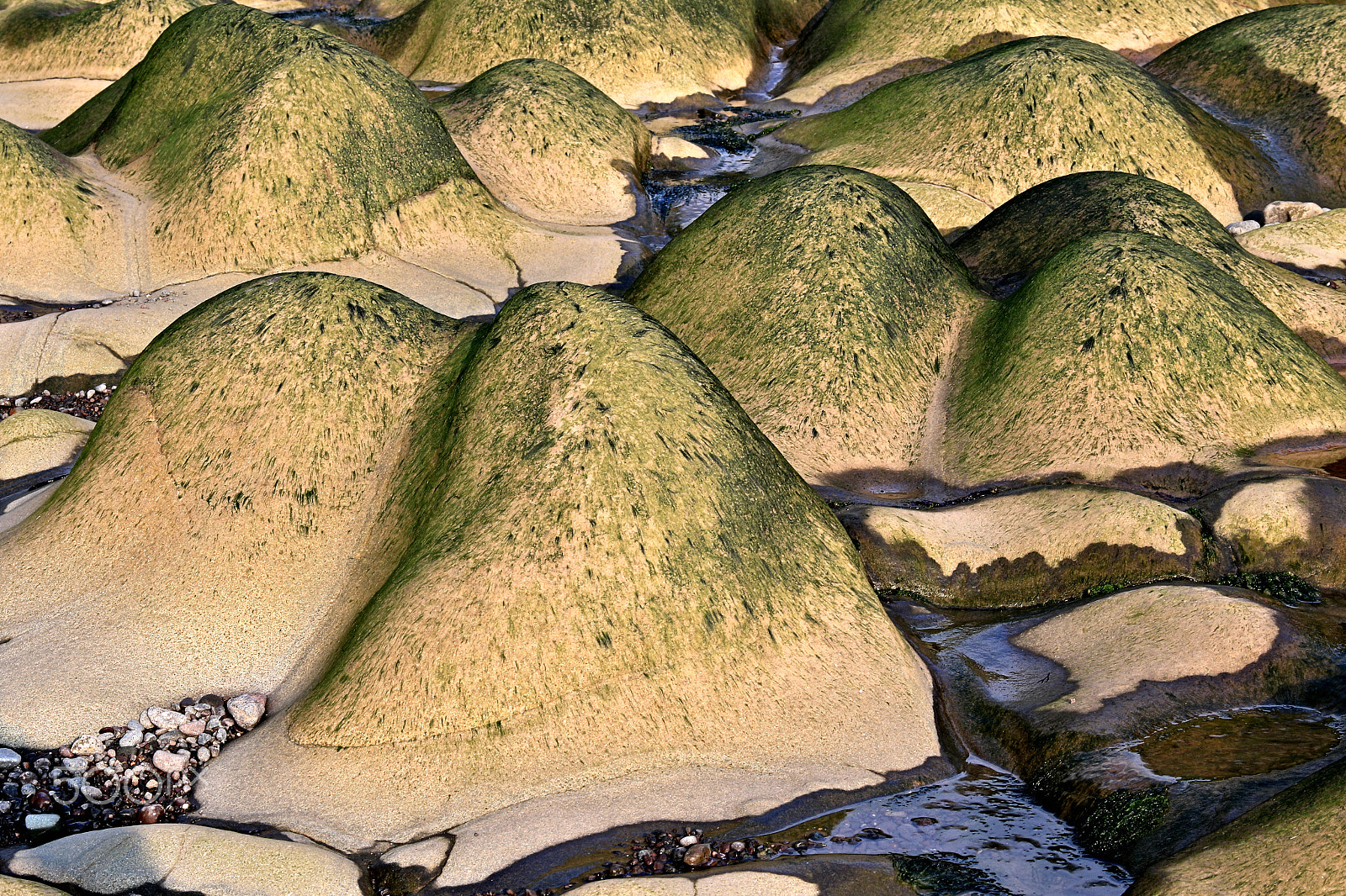Canon EF 24-105mm F3.5-5.6 IS STM sample photo. Sensuous stones photography