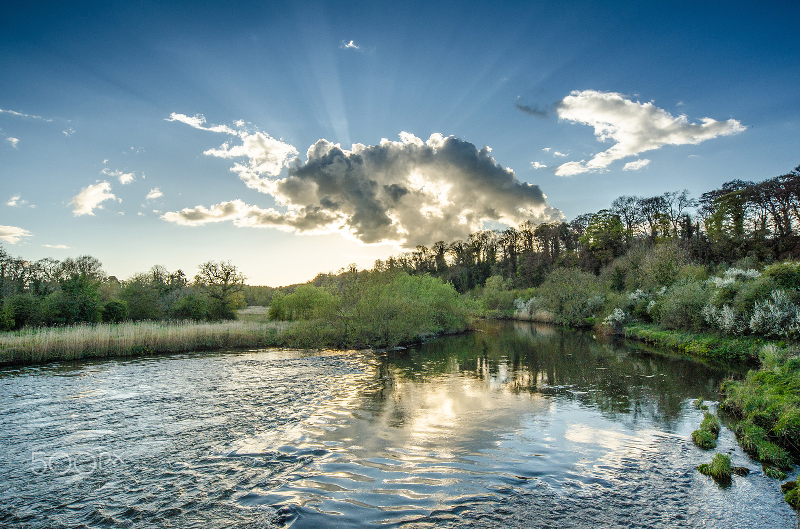 Nikon D7000 + Sigma 12-24mm F4.5-5.6 EX DG Aspherical HSM sample photo. River boyne at oldbridge, drogheda photography