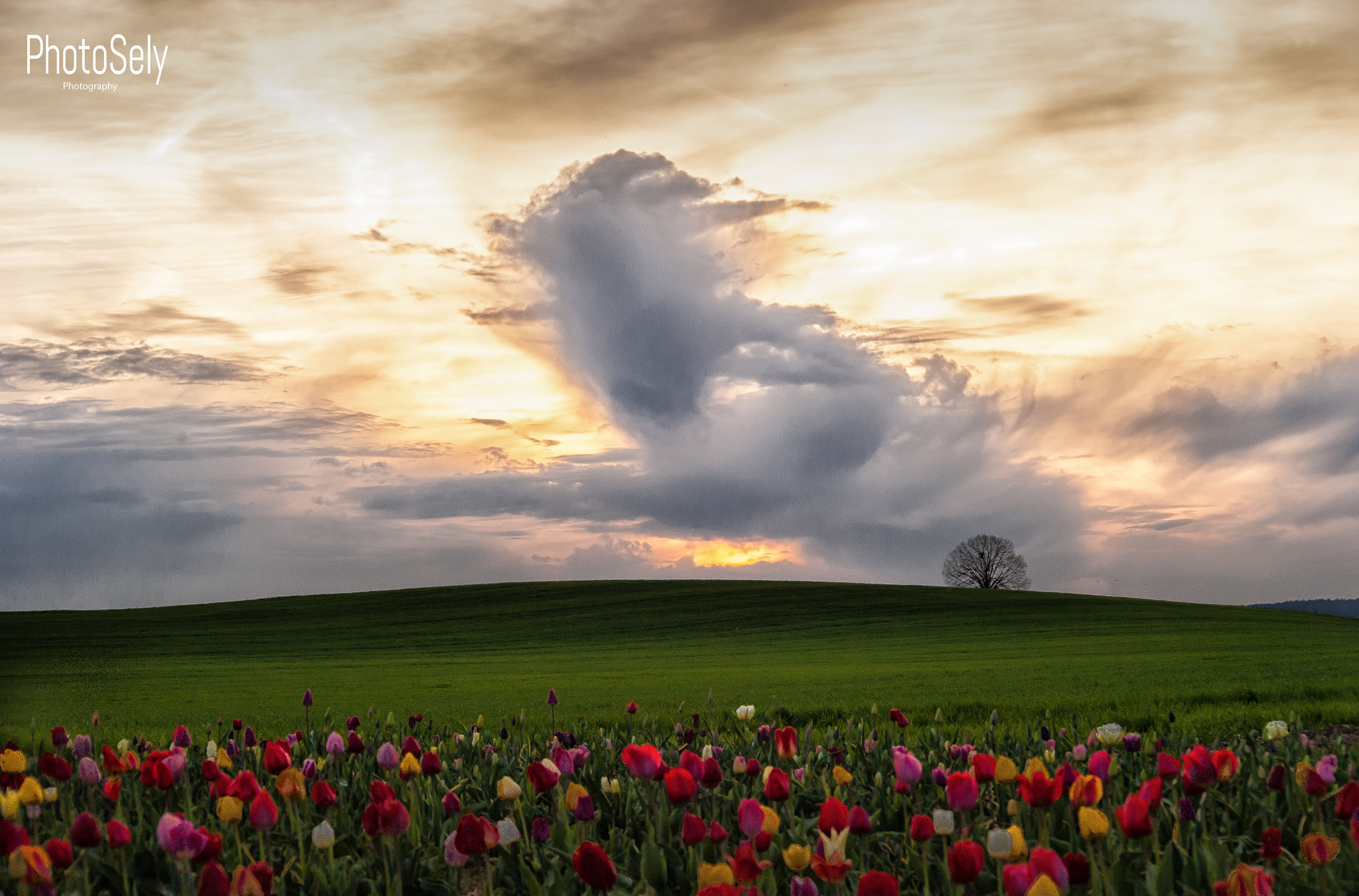 Nikon D700 + AF Nikkor 70-210mm f/4-5.6 sample photo. Cloud power photography