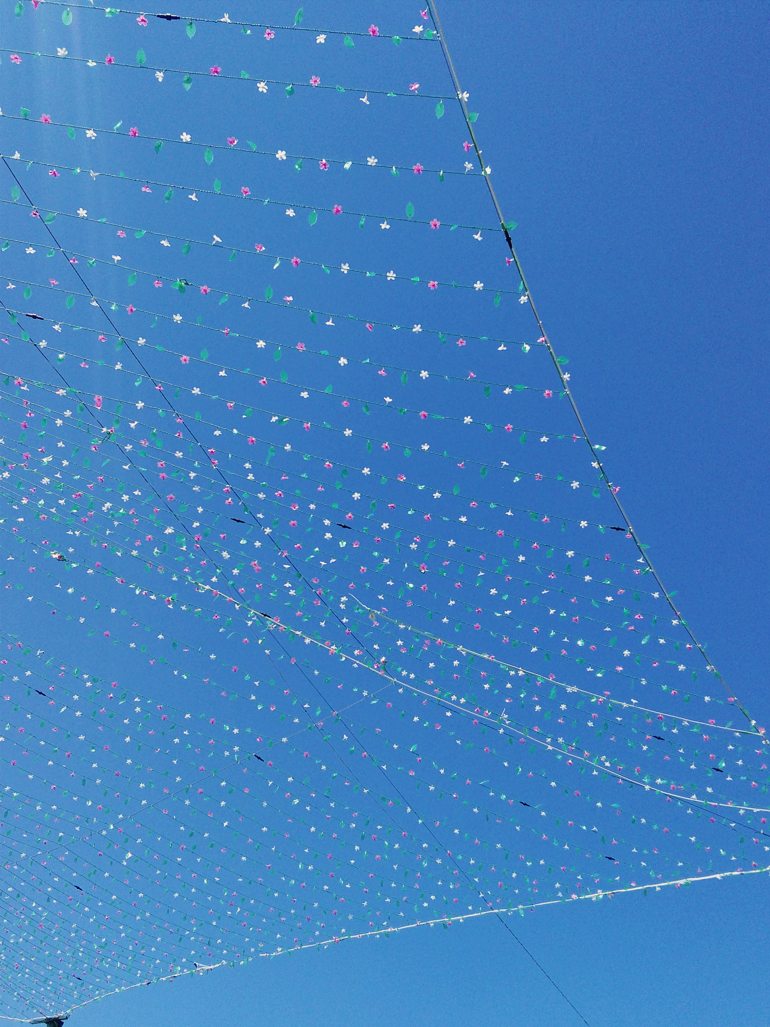 HUAWEI Y541-U02 sample photo. Sky decorations. photography
