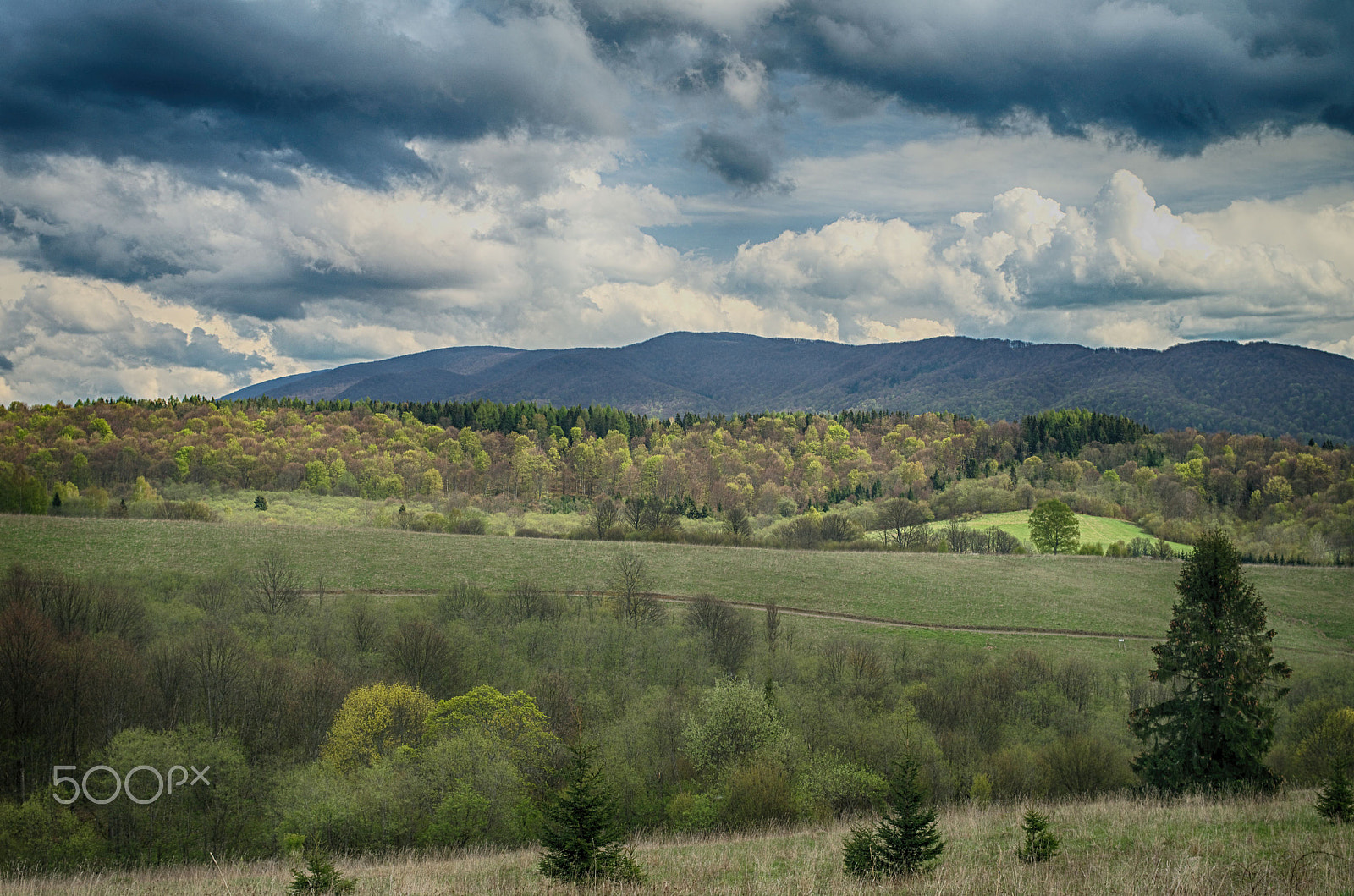 Pentax K-50 + Pentax smc DA 35mm F2.4 AL sample photo. Bieszczady... photography