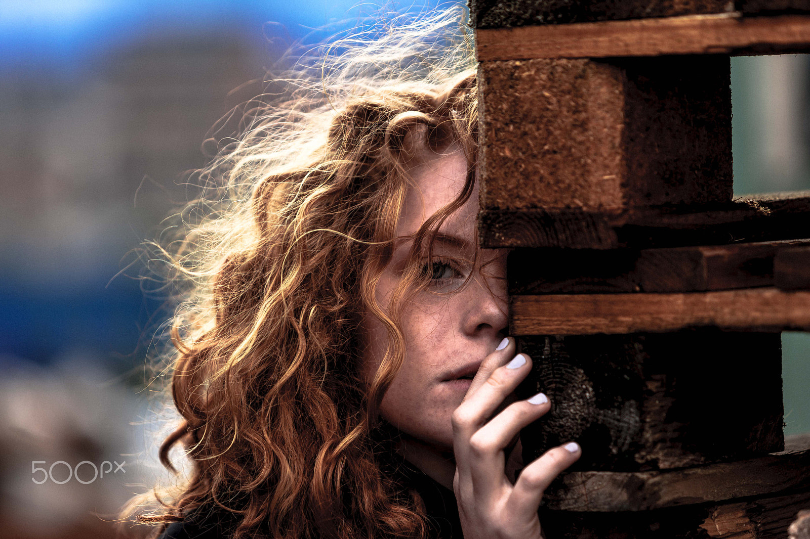 Canon EOS-1Ds Mark III sample photo. Fotographer - henrik elstrup photography