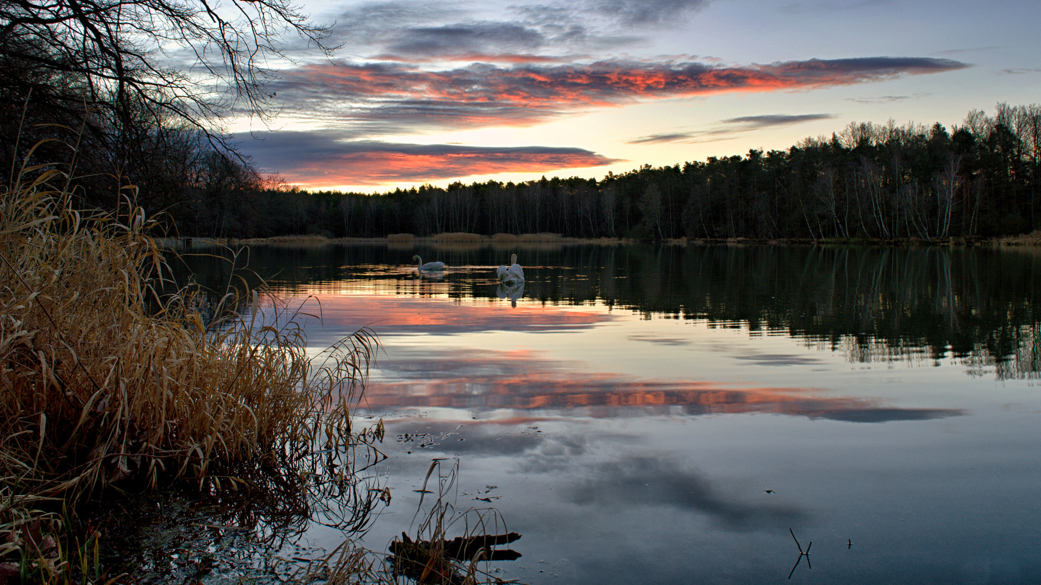 Nikon D3200 + 18.00 - 55.00 mm f/3.5 - 5.6 sample photo. Morning at the pond photography