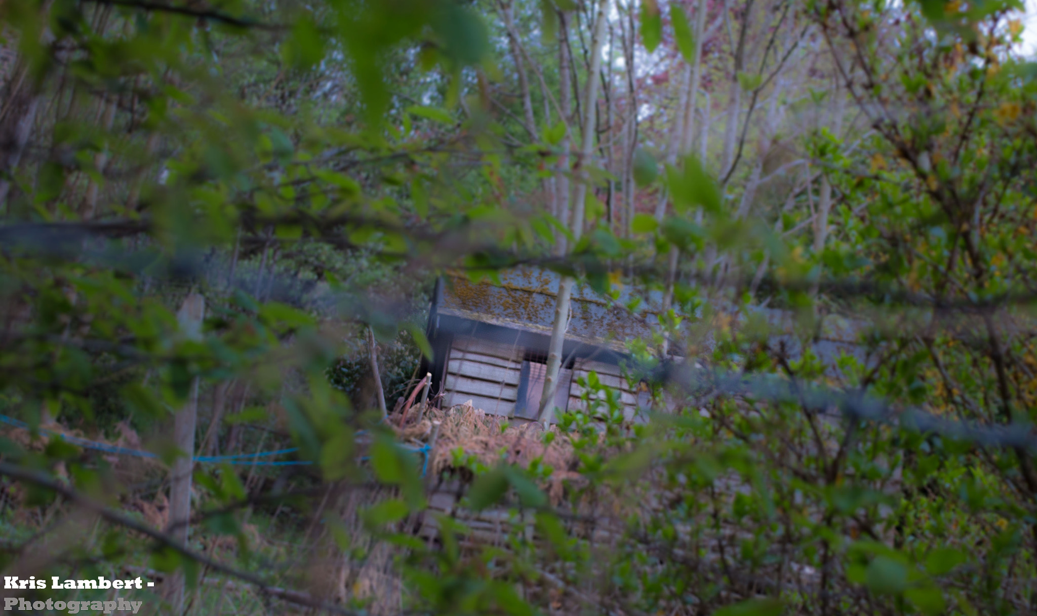 Sigma 18-50mm F2.8-4.5 DC OS HSM sample photo. Shed photography