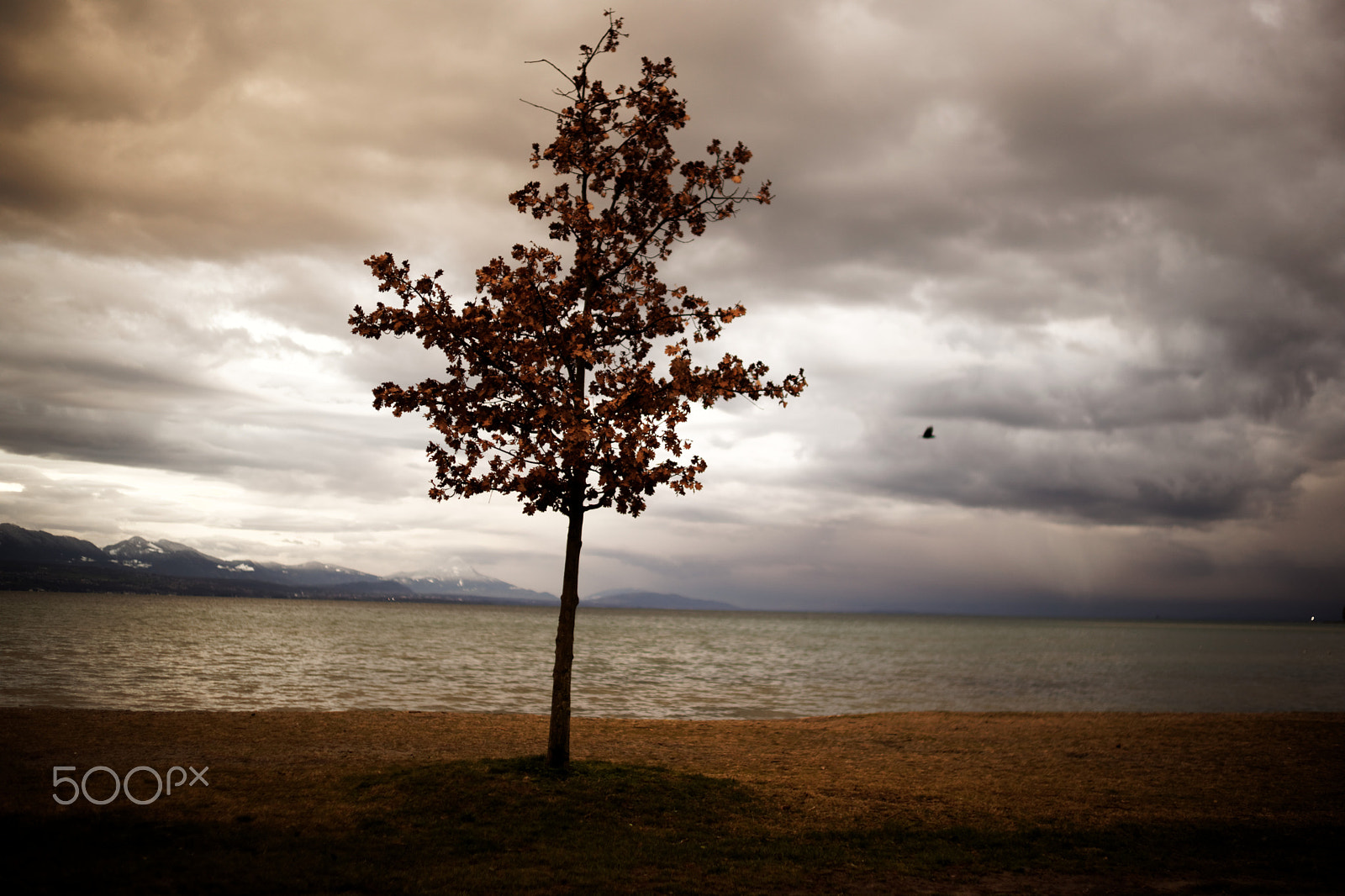 Sony a99 II + Sony 35mm F1.4 G sample photo. Before the storm (color) photography