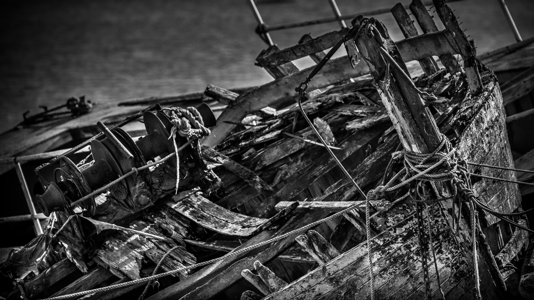 Sigma 120-400mm F4.5-5.6 DG OS HSM sample photo. Old boy photography