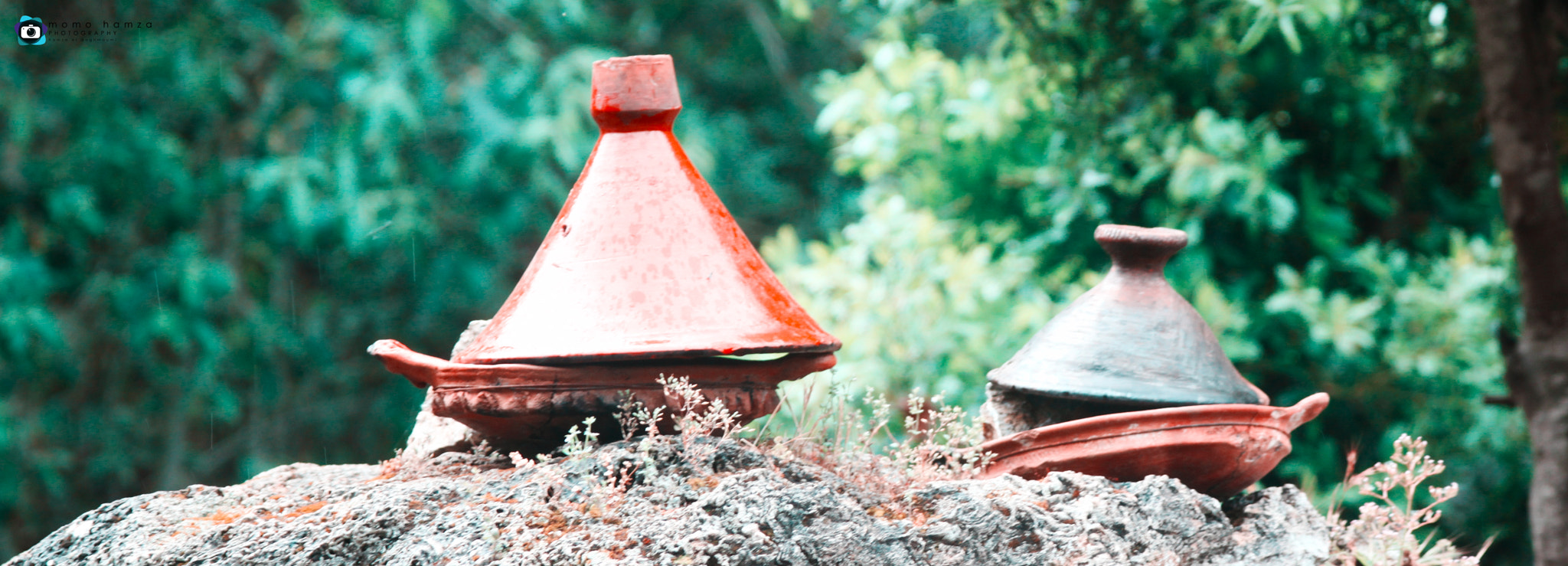 Canon EF 100-300mm f/5.6 sample photo